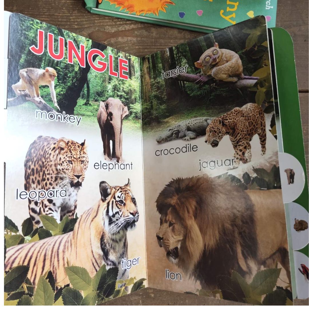 Smart Babies EARLY LEARNING (4 board books) with Carry Case