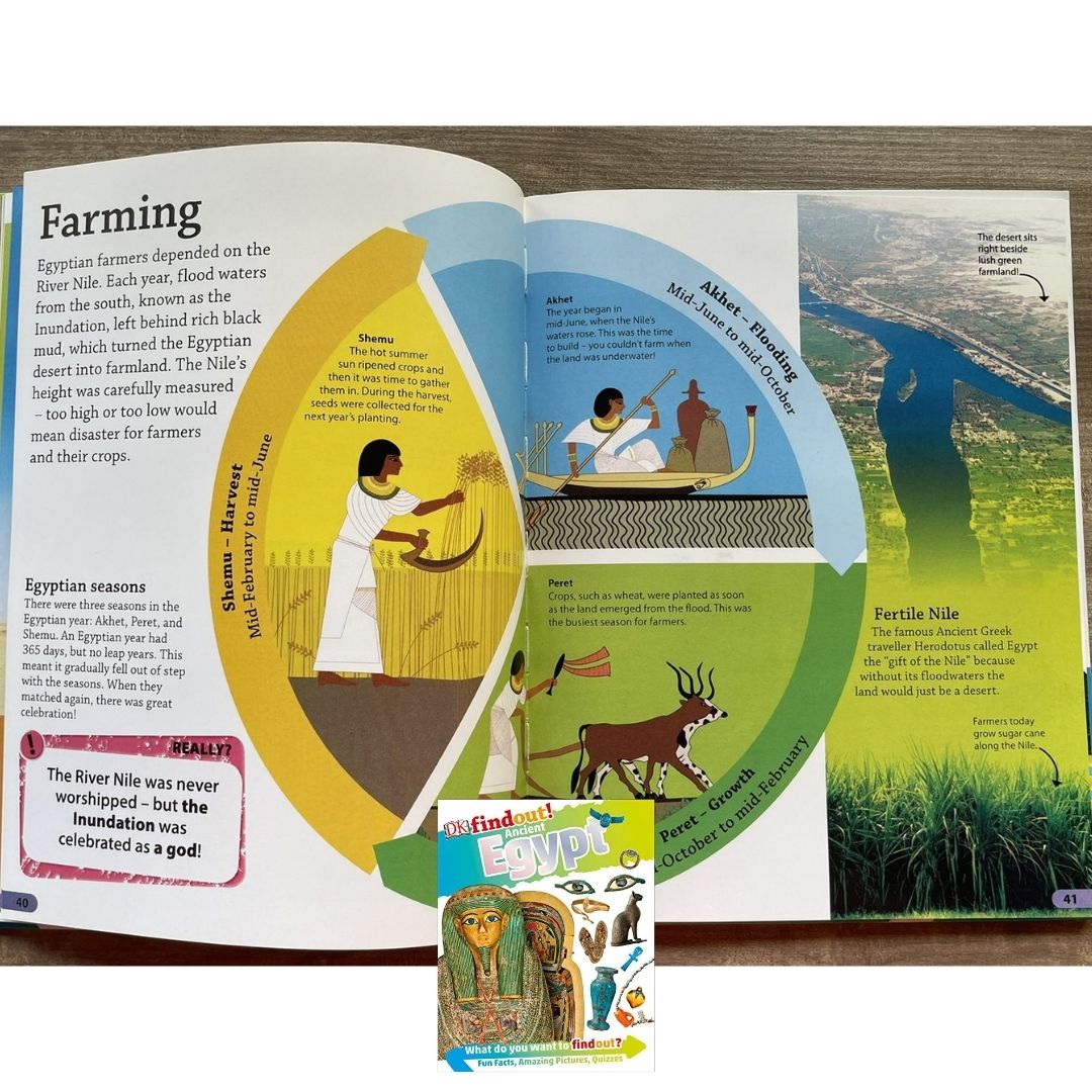 DK Findout! (SINGLES) Ancient Egypt Animals Big Cats Birds Castles Coding Energy Engineering Pirates Science Space Travel Universe Vikings Volcanoes