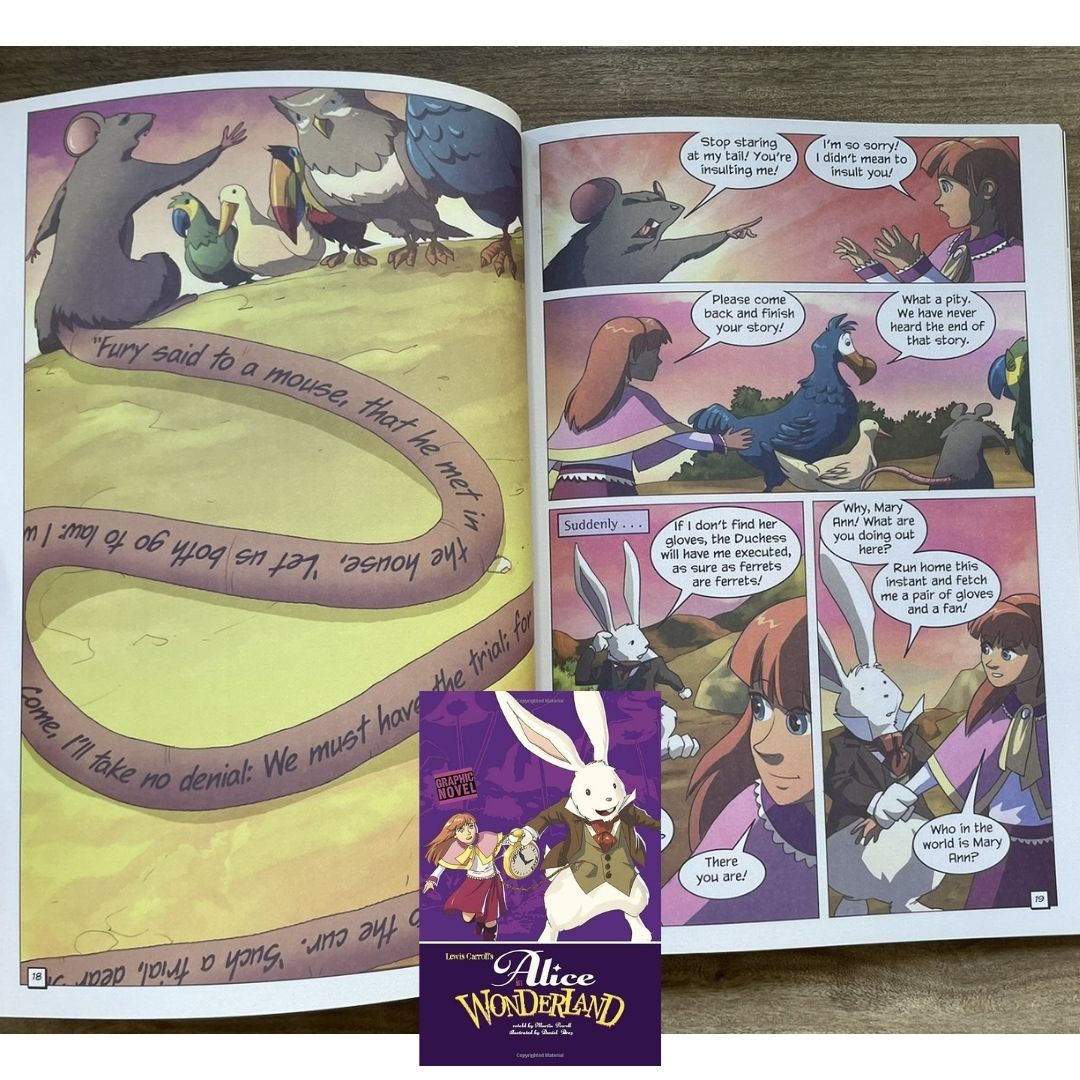 Classic Fiction Graphic Novel (SINGLES) (Alice in Wonderland / Gulliver's Travels / The Hunchback of Notre Dame / The Wizard of Oz) brand new softcover, with SLIGHT TEARS/DENTS/FOLDS on book cover