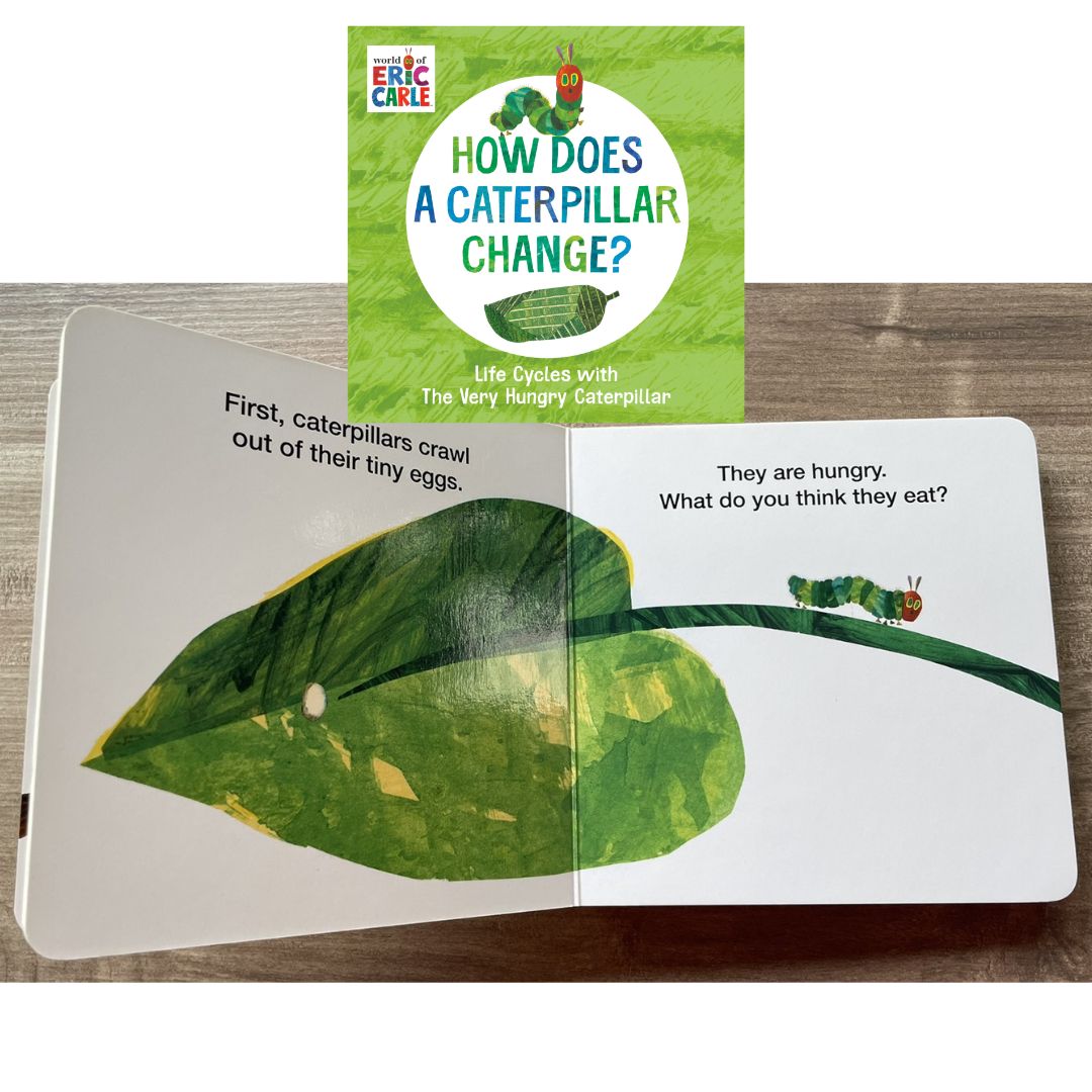 World of Eric Carle: Life Cycles with The Very Hungry Caterpillar (SINGLES, brand new Board Book, with SLIGHT DENTS on book cover) (How Does a Caterpillar Change / How Does an Egg Hatch / How Does a Tadpole Grow / How Does a Seed Sprout)