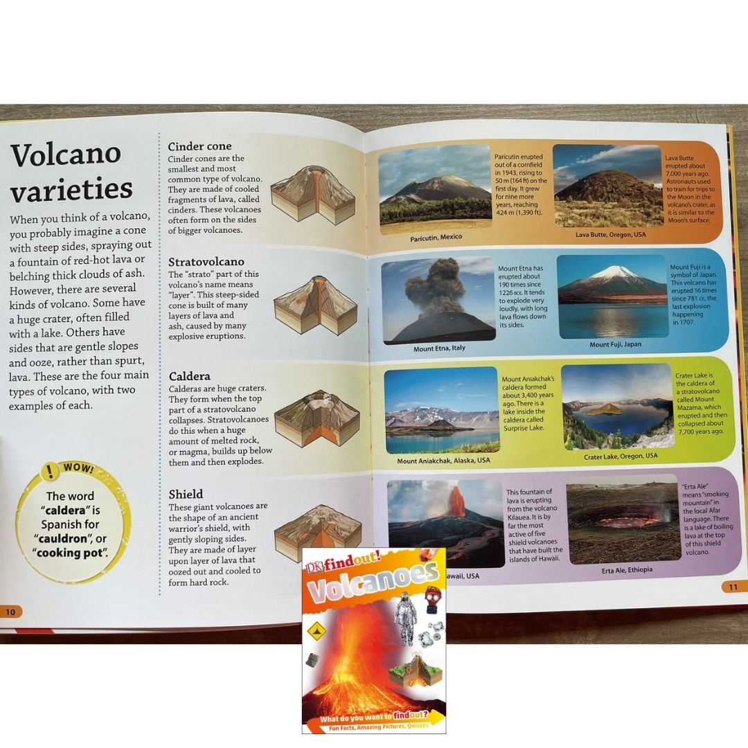 DK Findout! (SINGLES) Ancient Egypt Animals Big Cats Birds Castles Coding Energy Engineering Pirates Science Space Travel Universe Vikings Volcanoes