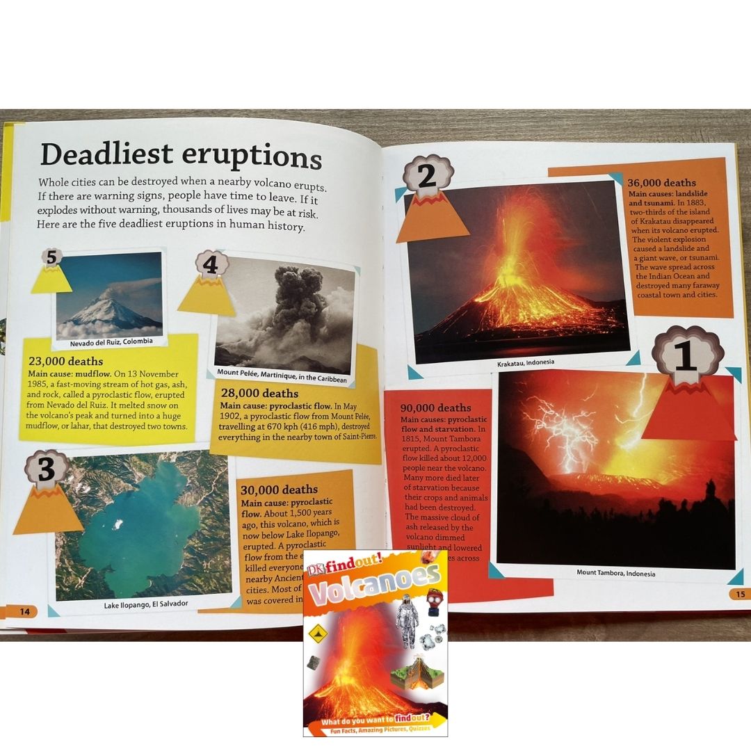 DK Findout! (SINGLES) Ancient Egypt Animals Big Cats Birds Castles Coding Energy Engineering Pirates Science Space Travel Universe Vikings Volcanoes
