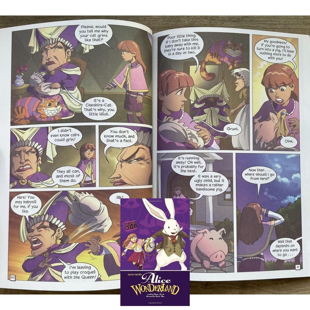 Classic Fiction Graphic Novel (SINGLES) (Alice in Wonderland / Gulliver's Travels / The Hunchback of Notre Dame / The Wizard of Oz) brand new softcover, with SLIGHT TEARS/DENTS/FOLDS on book cover