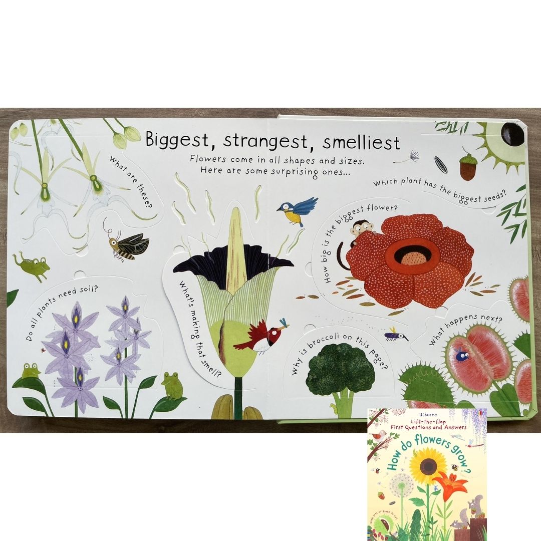 Usborne Lift-the-flap First Questions and Answers: HOW DO FLOWERS GROW? (brand new board book)