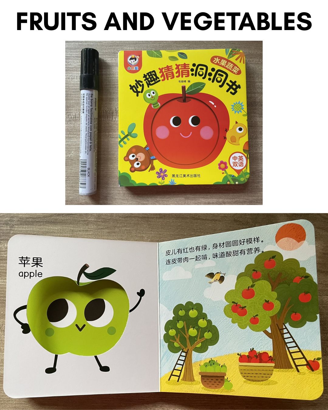 Peek-a-boo/ Peekaboo Board Book w/ Holes (SINGLES) Animals / Fruits and Vegetables / Sea Animals or Sea Creatures / Transportation Vehicles