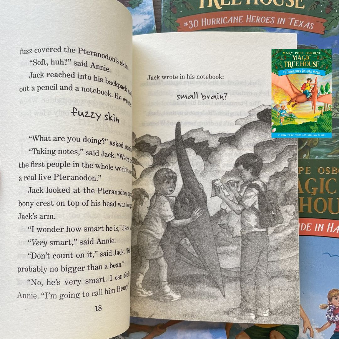 Magic Tree House: A Library Of Books 40 BOOKS Box Set (39 chapter books + 1 workbook) BOX with SLIGHT TEAR and DENTS
