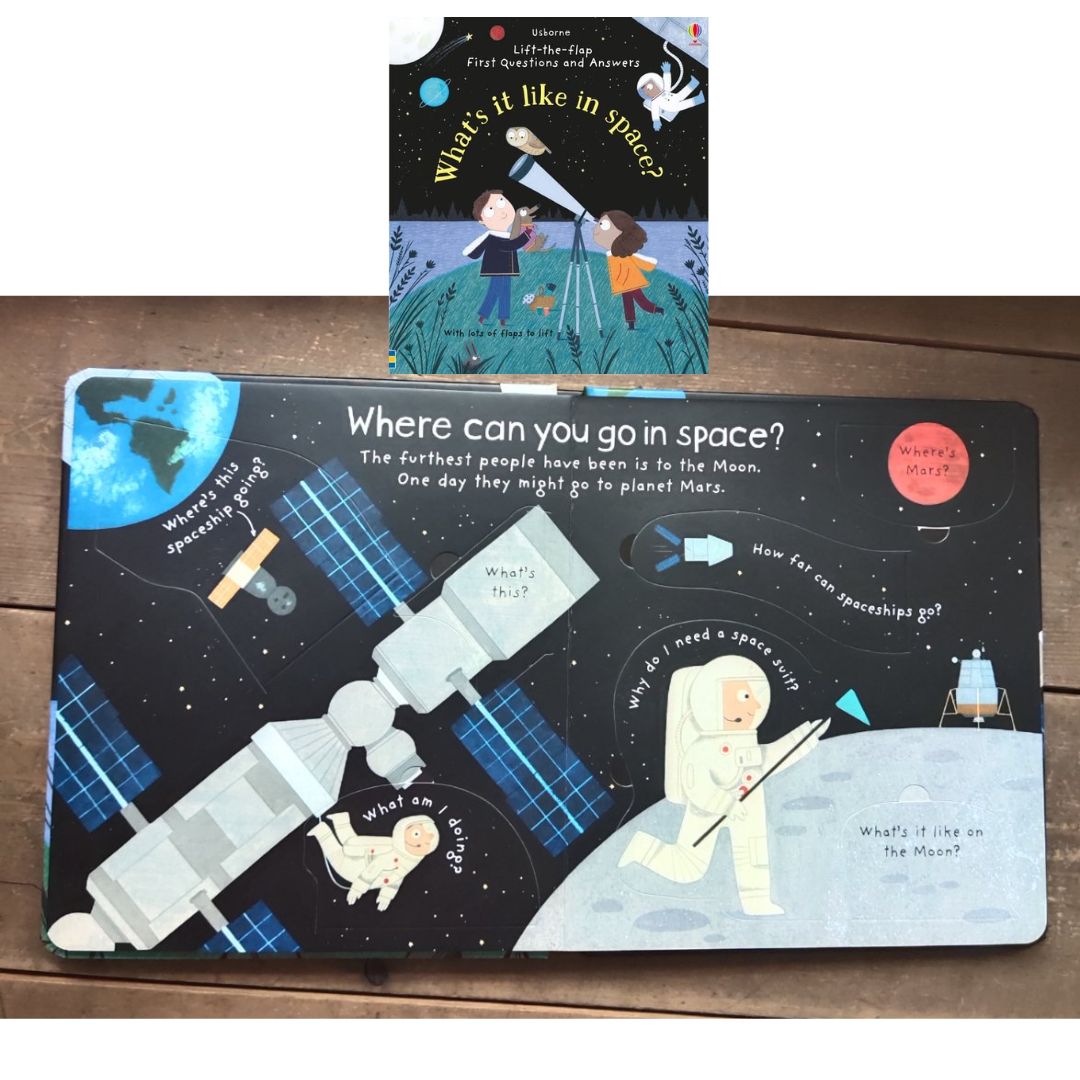 Usborne Lift-the-flap FIRST Questions and Answers (SINGLES, Board Book) How Do Flowers Grow / What is a Virus / What's It Like in Space / Why are there Wars / Why Do We Need Bees / Why Do We Need Trees / Why is it Dark at Night