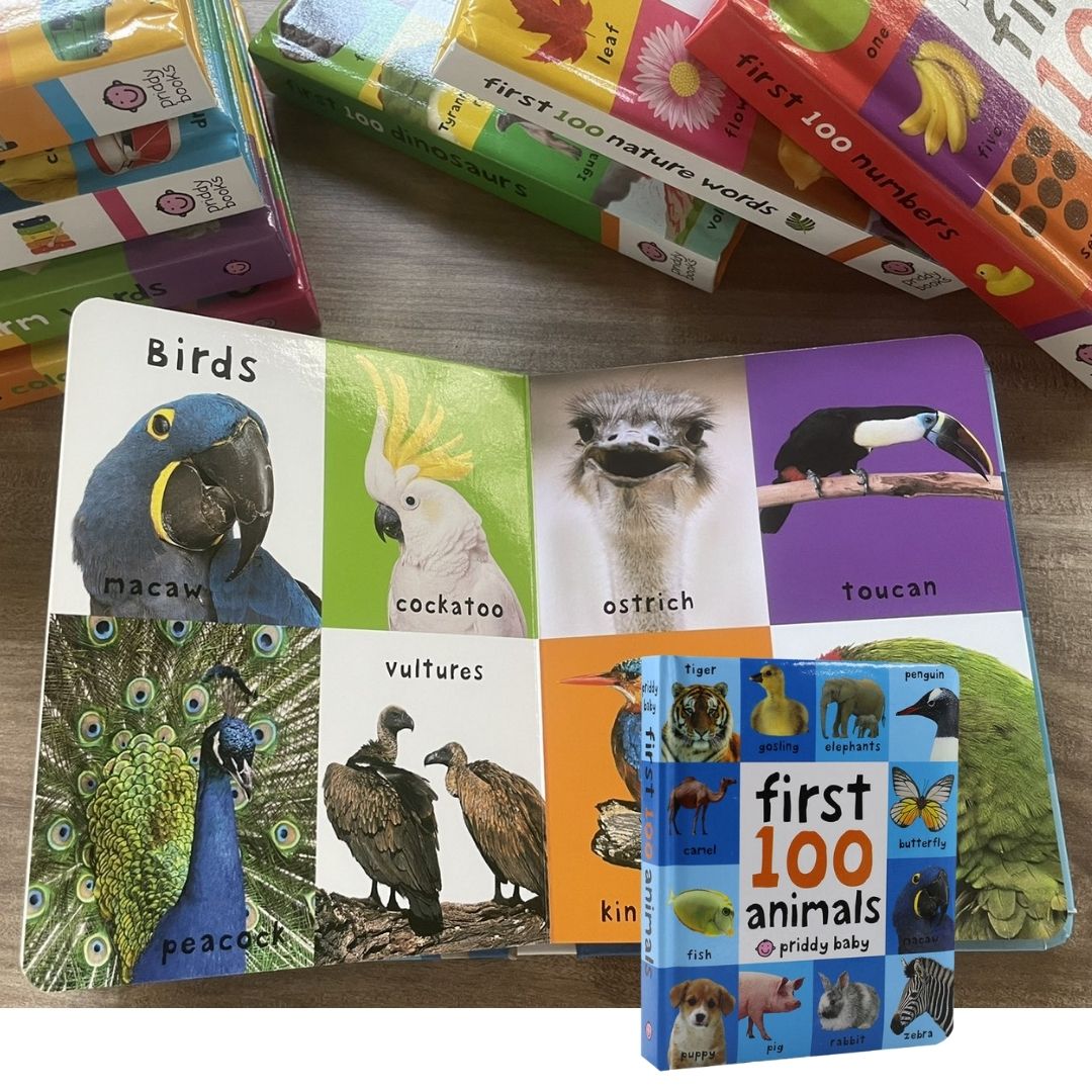 Priddy's First 100 Series (Singles, MINI board book)