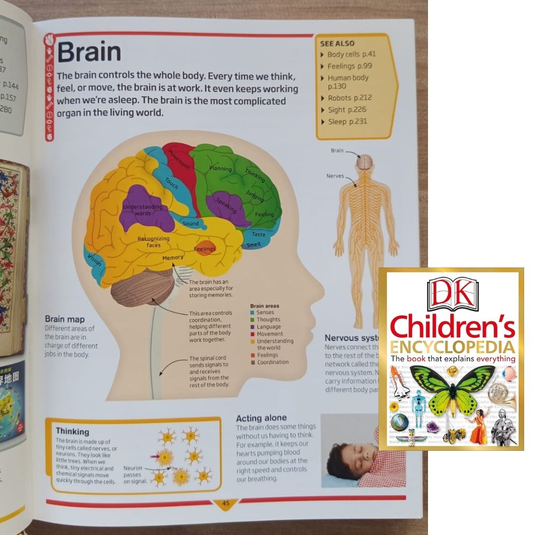 DK Children's Encyclopedia: The Book That Explains Everything! (USED book, hardcover, with slight tears and dents on book cover)