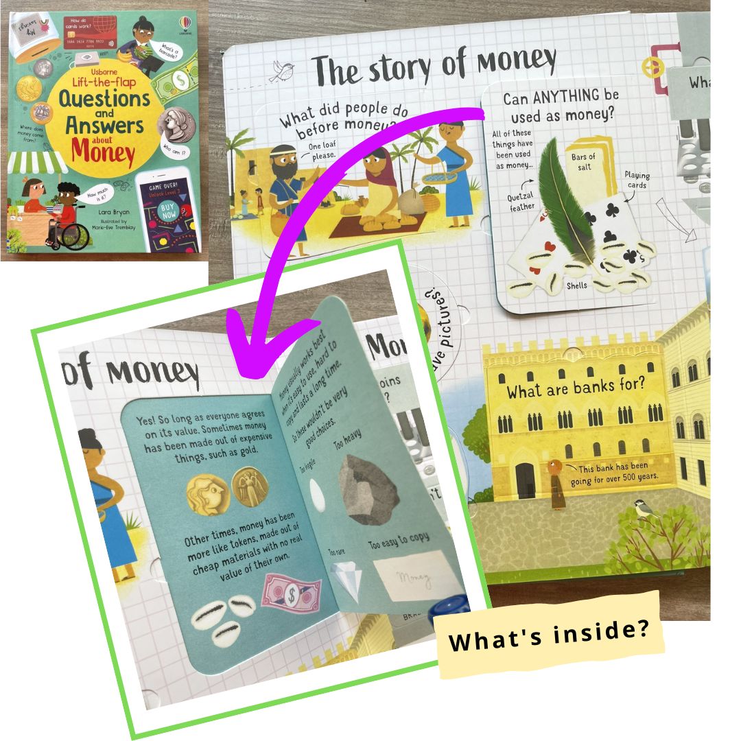 Usborne Lift-the-flap Questions and Answers About (SINGLES, brand new Board Book, w/ SLIGHT DENTS on book cover) Animals / Body / Feelings / Food / Jobs / Money / Nature