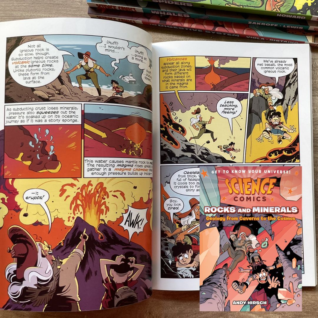 Science Comics (6 books, softcover, no box) (Rocks and Minerals / Spiders / The Digestive System / Whales / Bridges / Birds of Prey)