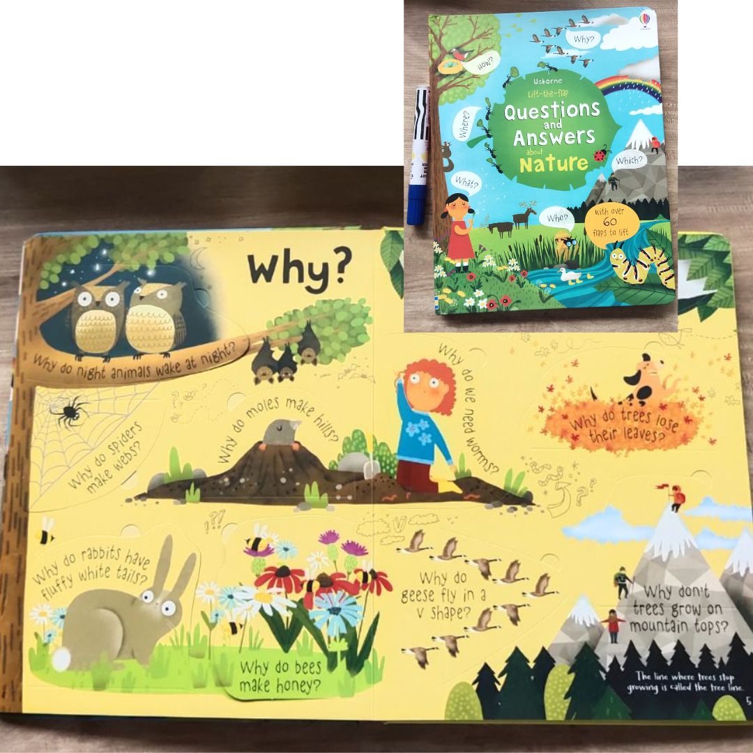 Usborne Lift-the-flap Questions and Answers About (SINGLES, brand new Board Book, w/ SLIGHT DENTS on book cover) Animals / Body / Feelings / Food / Jobs / Money / Nature