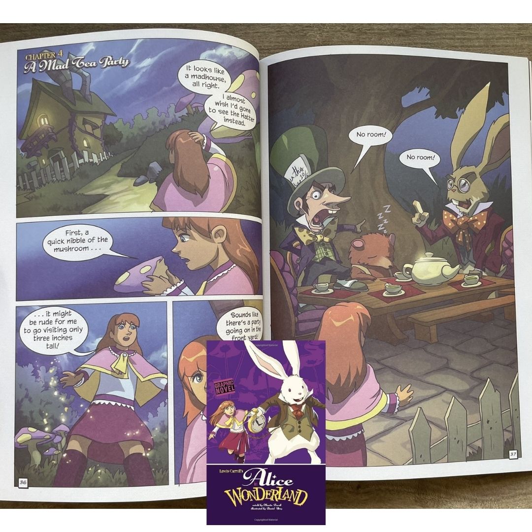 Classic Fiction Graphic Novel (SINGLES) (Alice in Wonderland / Gulliver's Travels / The Hunchback of Notre Dame / The Wizard of Oz) brand new softcover, with SLIGHT TEARS/DENTS/FOLDS on book cover