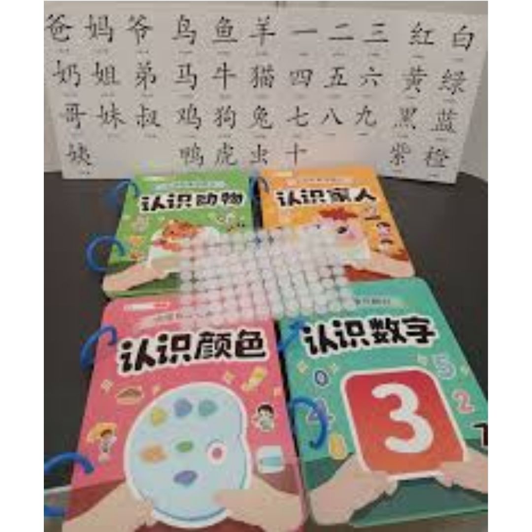 Chinese Quiet / Busy Book (4 pcs. ringbound busy books in 1 set) Numbers, Colors, Family, Animals, Food, Body, Action, Nature