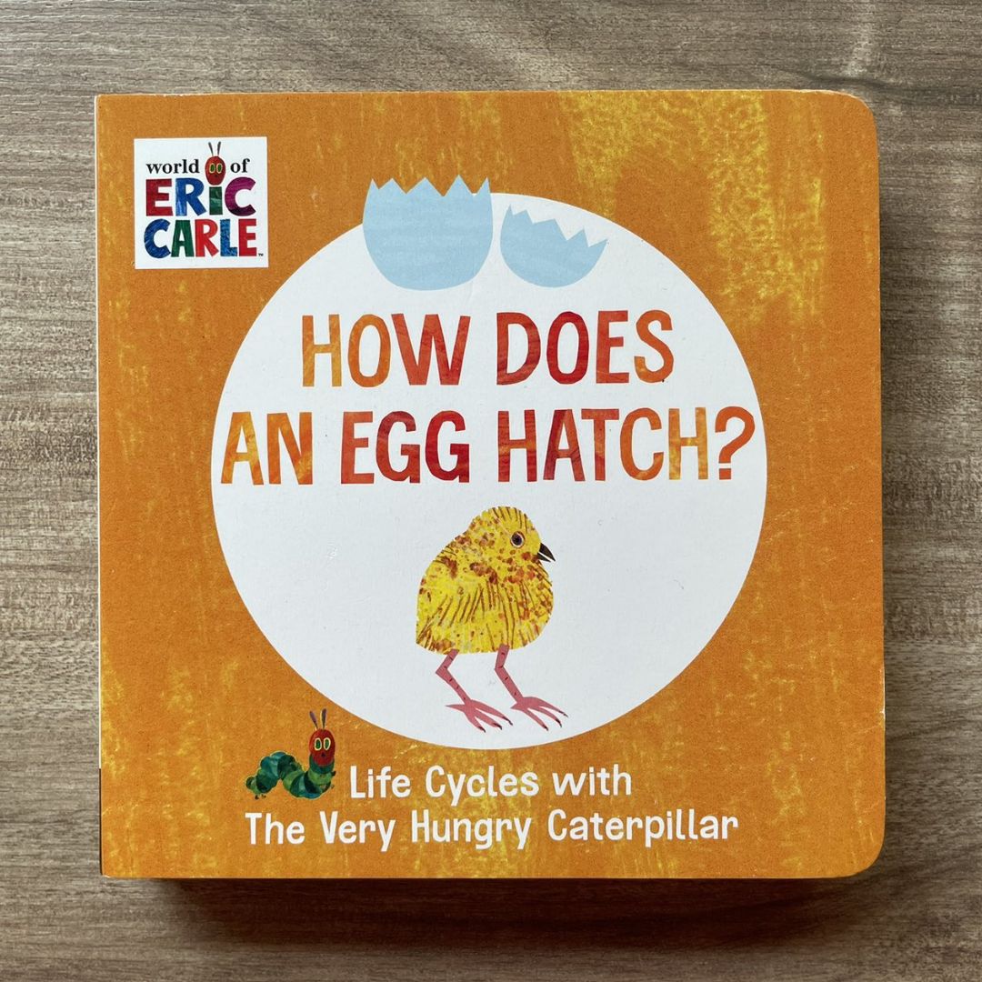 World of Eric Carle: Life Cycles with The Very Hungry Caterpillar (SINGLES, brand new Board Book, with SLIGHT DENTS on book cover) (How Does a Caterpillar Change / How Does an Egg Hatch / How Does a Tadpole Grow / How Does a Seed Sprout)