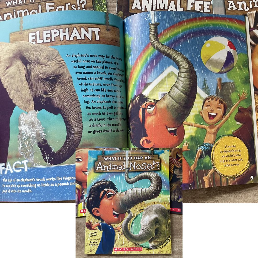The Ultimate What If You Had… Series (9 books) brand new softcover, no box