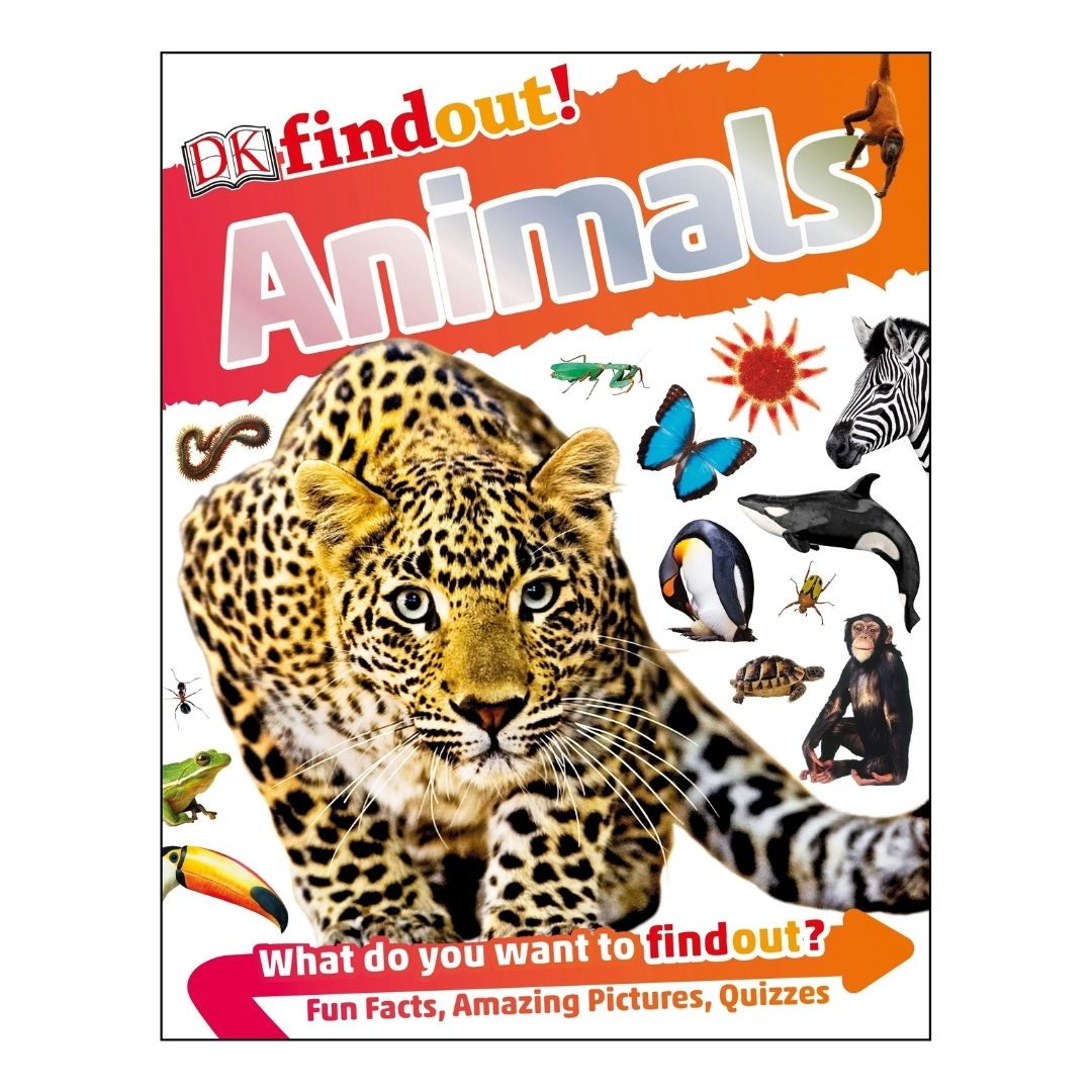 DK Findout! (SINGLES) Ancient Egypt Animals Big Cats Birds Castles Coding Energy Engineering Pirates Science Space Travel Universe Vikings Volcanoes