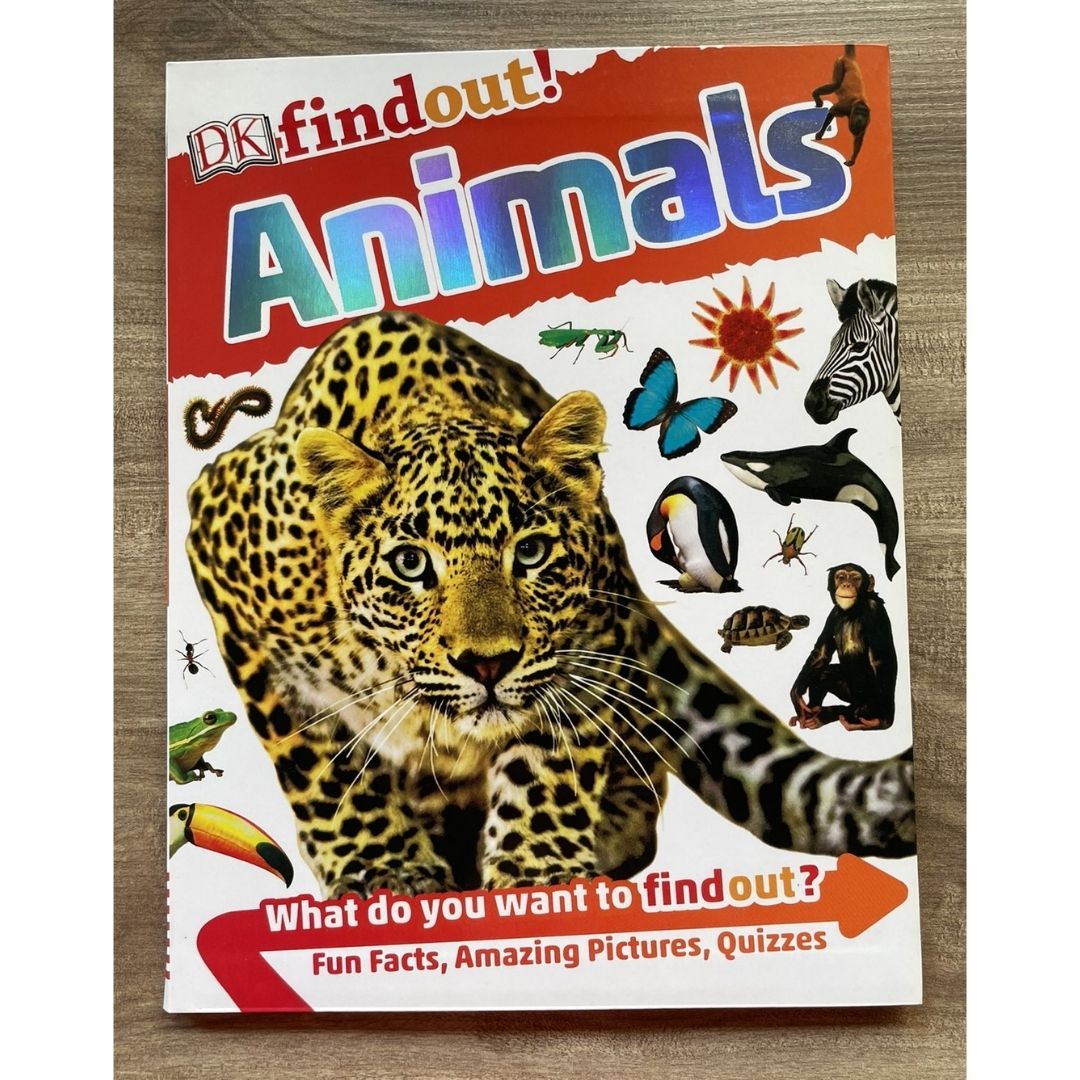 DK Findout! (SINGLES) Ancient Egypt Animals Big Cats Birds Castles Coding Energy Engineering Pirates Science Space Travel Universe Vikings Volcanoes