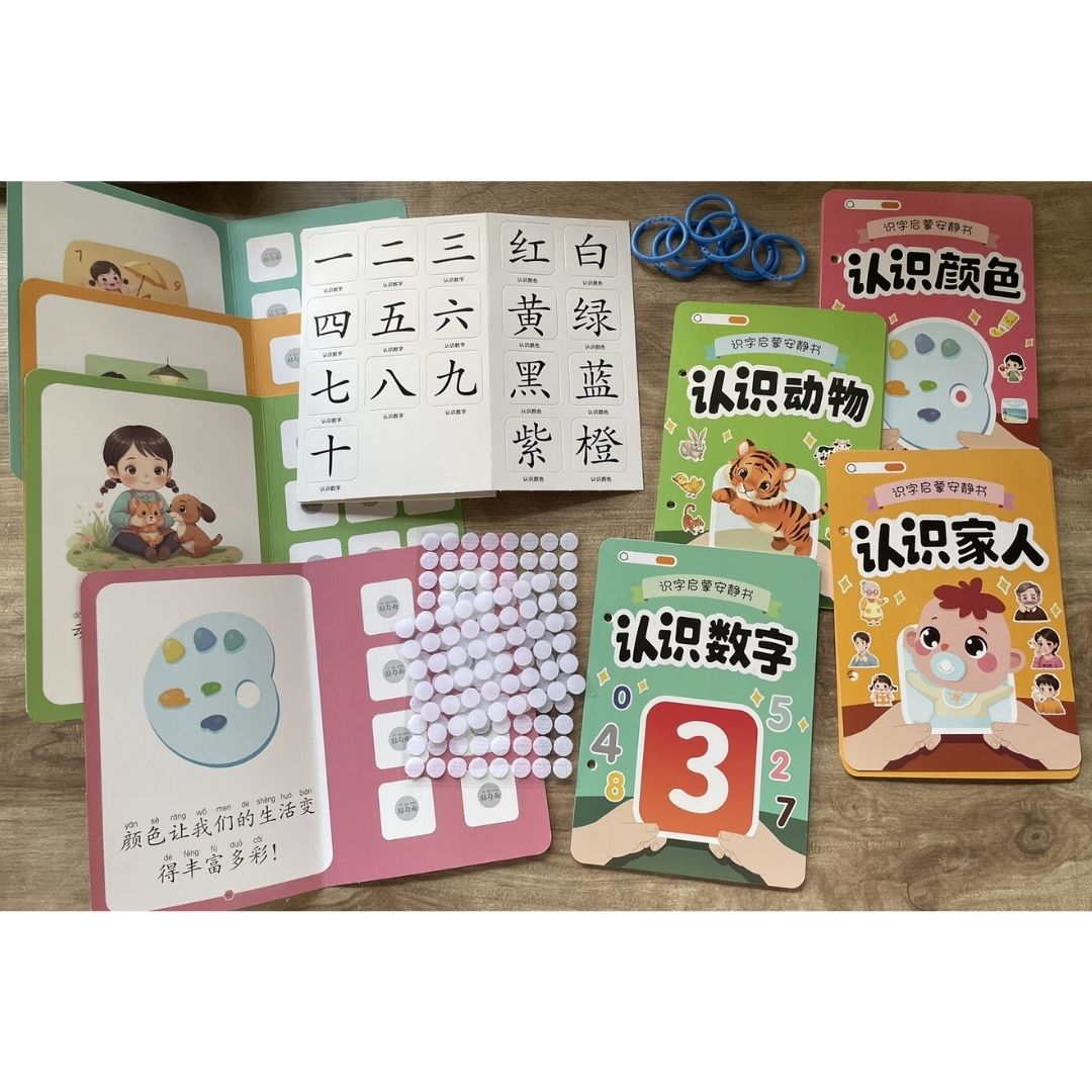 Chinese Quiet / Busy Book (4 pcs. ringbound busy books in 1 set) Numbers, Colors, Family, Animals, Food, Body, Action, Nature