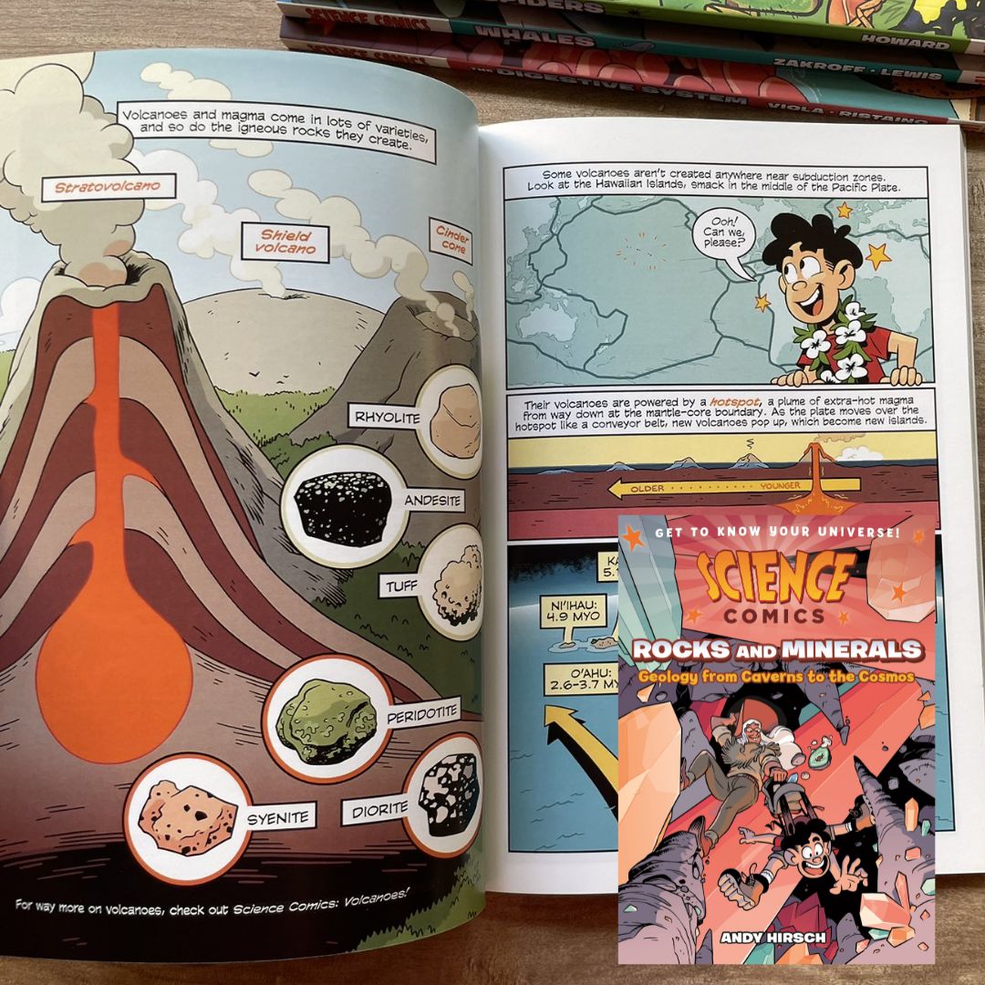 Science Comics (6 books, softcover, no box) (Rocks and Minerals / Spiders / The Digestive System / Whales / Bridges / Birds of Prey)