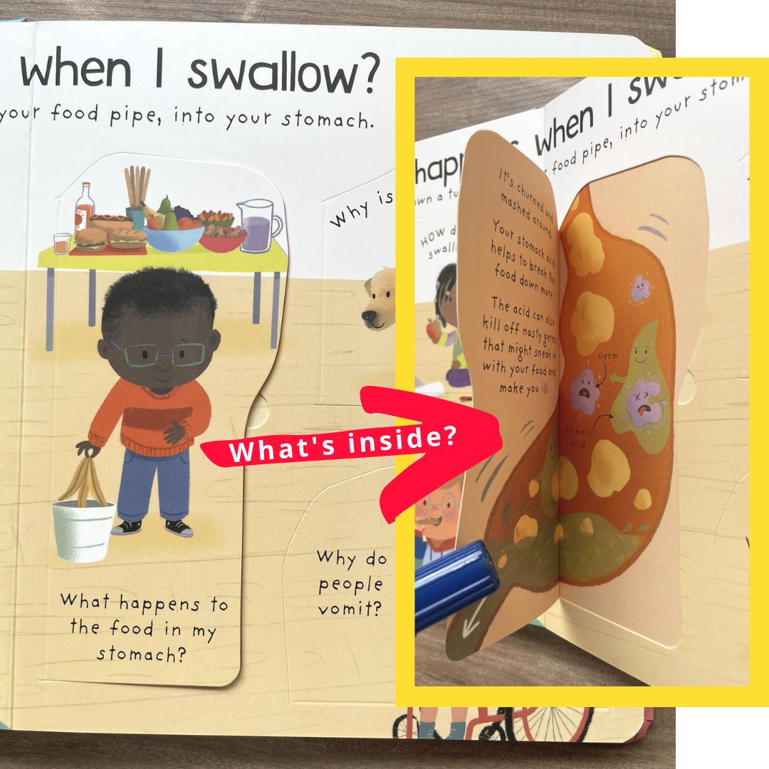 Usborne Lift-the-flap FIRST Questions and Answers (SINGLES, Board Book) How Do Flowers Grow / What is a Virus / What's It Like in Space / Why are there Wars / Why Do We Need Bees / Why Do We Need Trees / Why is it Dark at Night