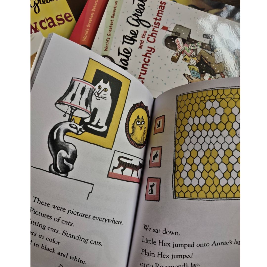 Nate the Great 30 books (softcover) BOX set - BOX with TEAR and DENTS