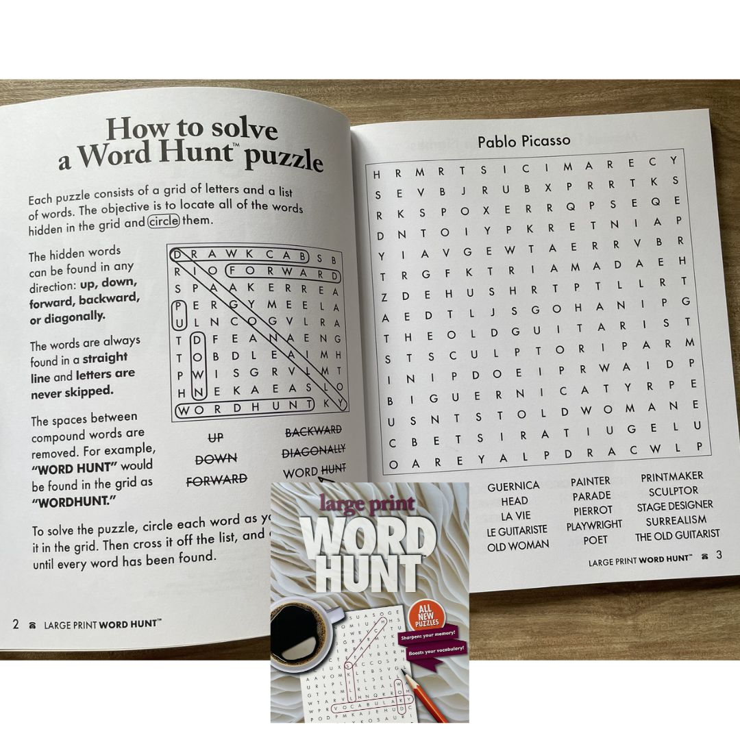 Large Print WORD HUNT (brand new Softcover)