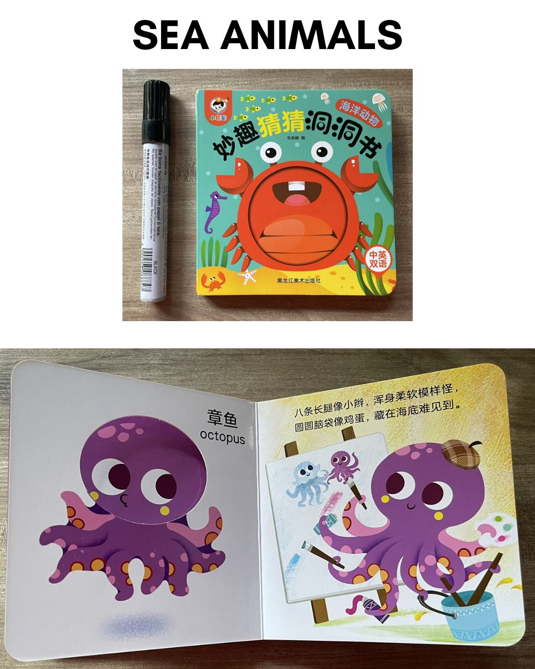 Peek-a-boo/ Peekaboo Board Book w/ Holes (SINGLES) Animals / Fruits and Vegetables / Sea Animals or Sea Creatures / Transportation Vehicles