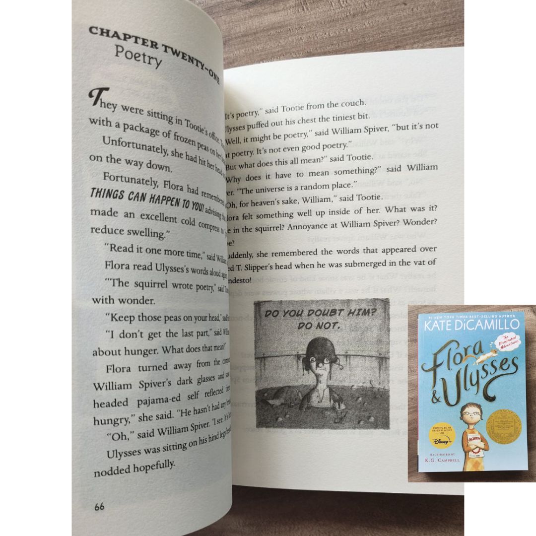 The Kate Dicamillo Classic Collection Boxed Set (8 books) softcover
