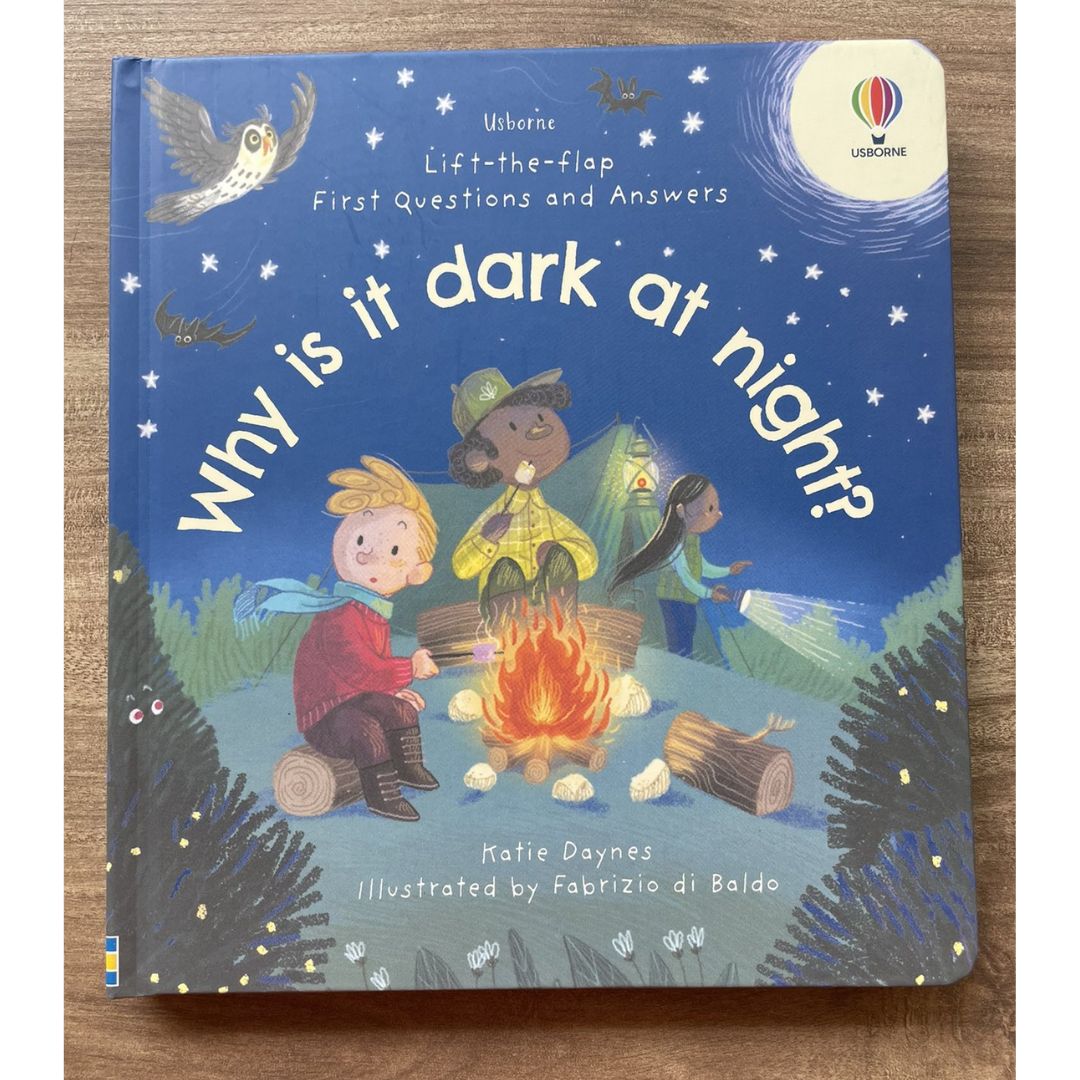 Usborne Lift-the-flap FIRST Questions and Answers (SINGLES, Board Book) How Do Flowers Grow / What is a Virus / What's It Like in Space / Why are there Wars / Why Do We Need Bees / Why Do We Need Trees / Why is it Dark at Night