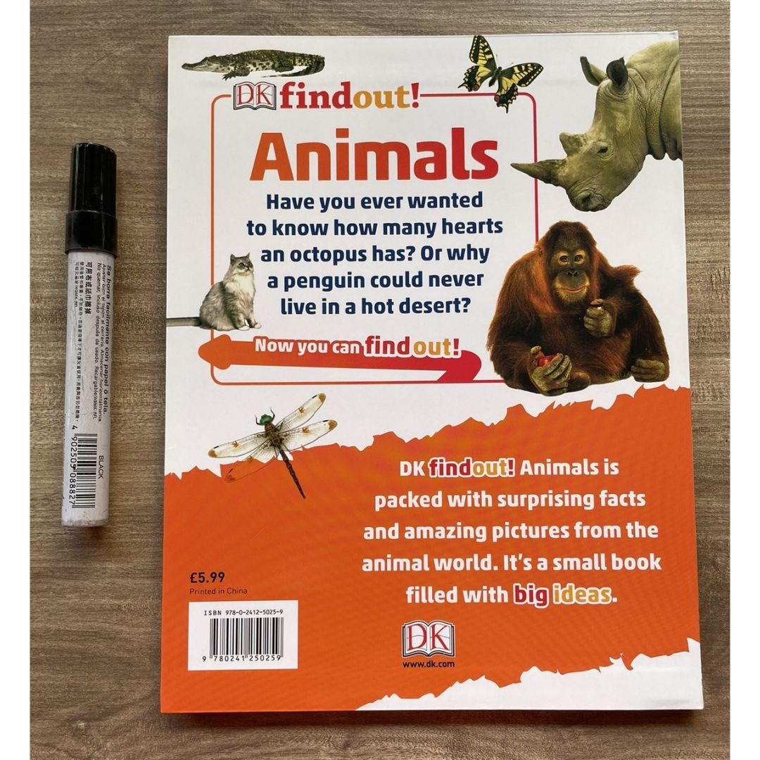 DK Findout! (SINGLES) Ancient Egypt Animals Big Cats Birds Castles Coding Energy Engineering Pirates Science Space Travel Universe Vikings Volcanoes