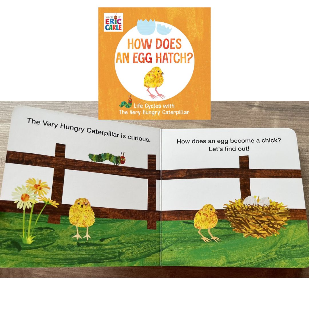 World of Eric Carle: Life Cycles with The Very Hungry Caterpillar (SINGLES, brand new Board Book, with SLIGHT DENTS on book cover) (How Does a Caterpillar Change / How Does an Egg Hatch / How Does a Tadpole Grow / How Does a Seed Sprout)