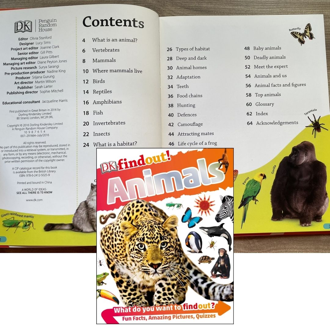 DK Findout! (SINGLES) Ancient Egypt Animals Big Cats Birds Castles Coding Energy Engineering Pirates Science Space Travel Universe Vikings Volcanoes