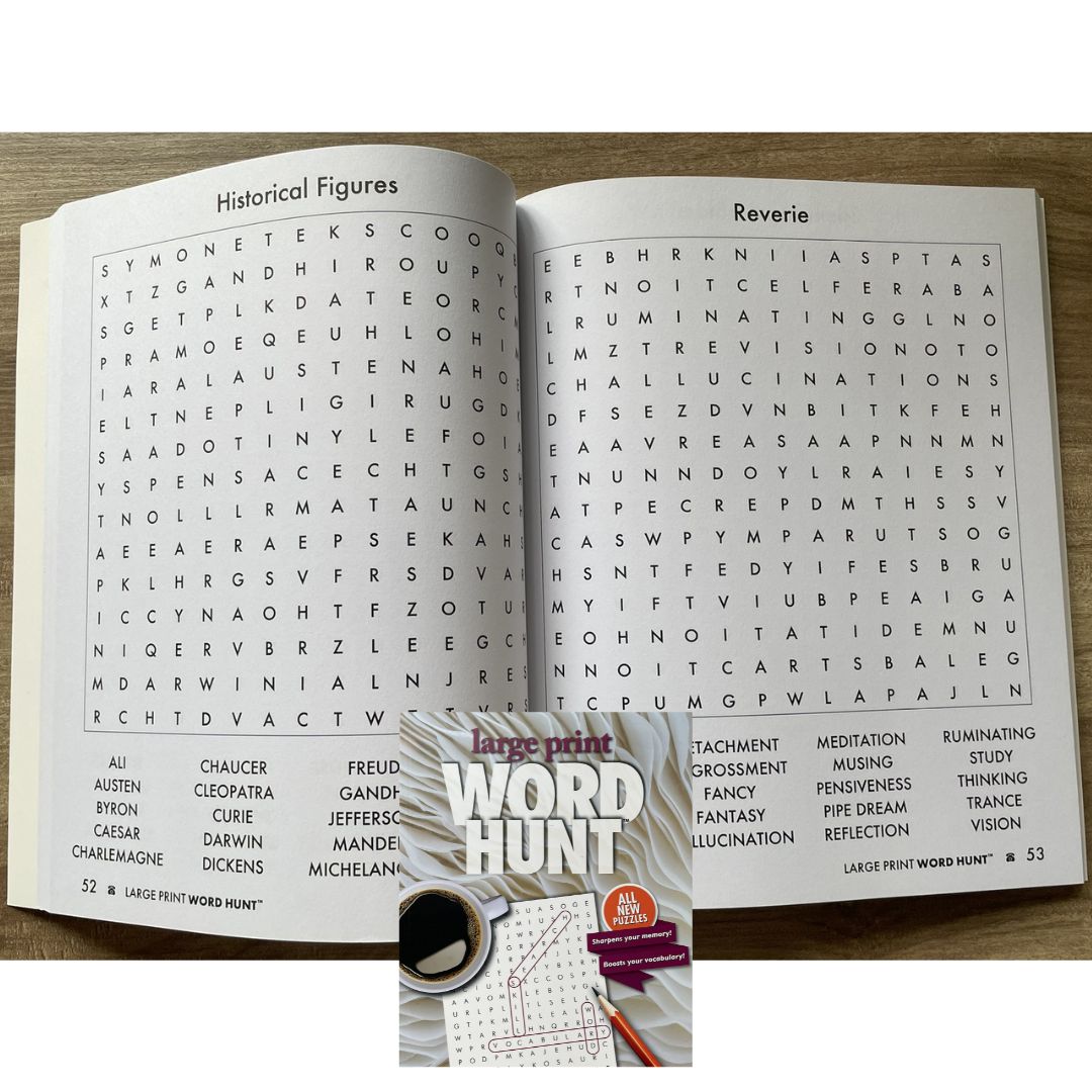 Large Print WORD HUNT (brand new Softcover)