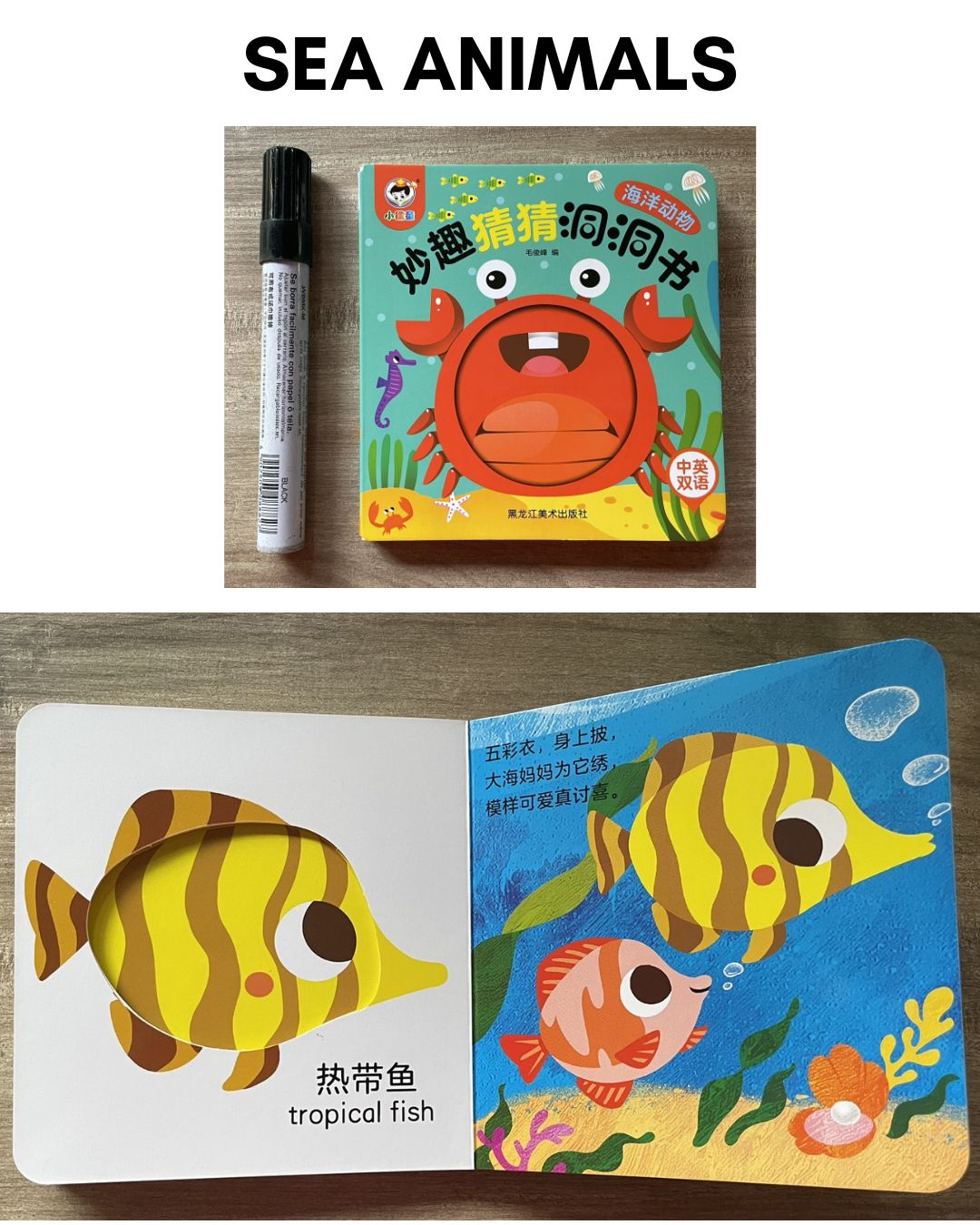 Peek-a-boo/ Peekaboo Board Book w/ Holes (SINGLES) Animals / Fruits and Vegetables / Sea Animals or Sea Creatures / Transportation Vehicles