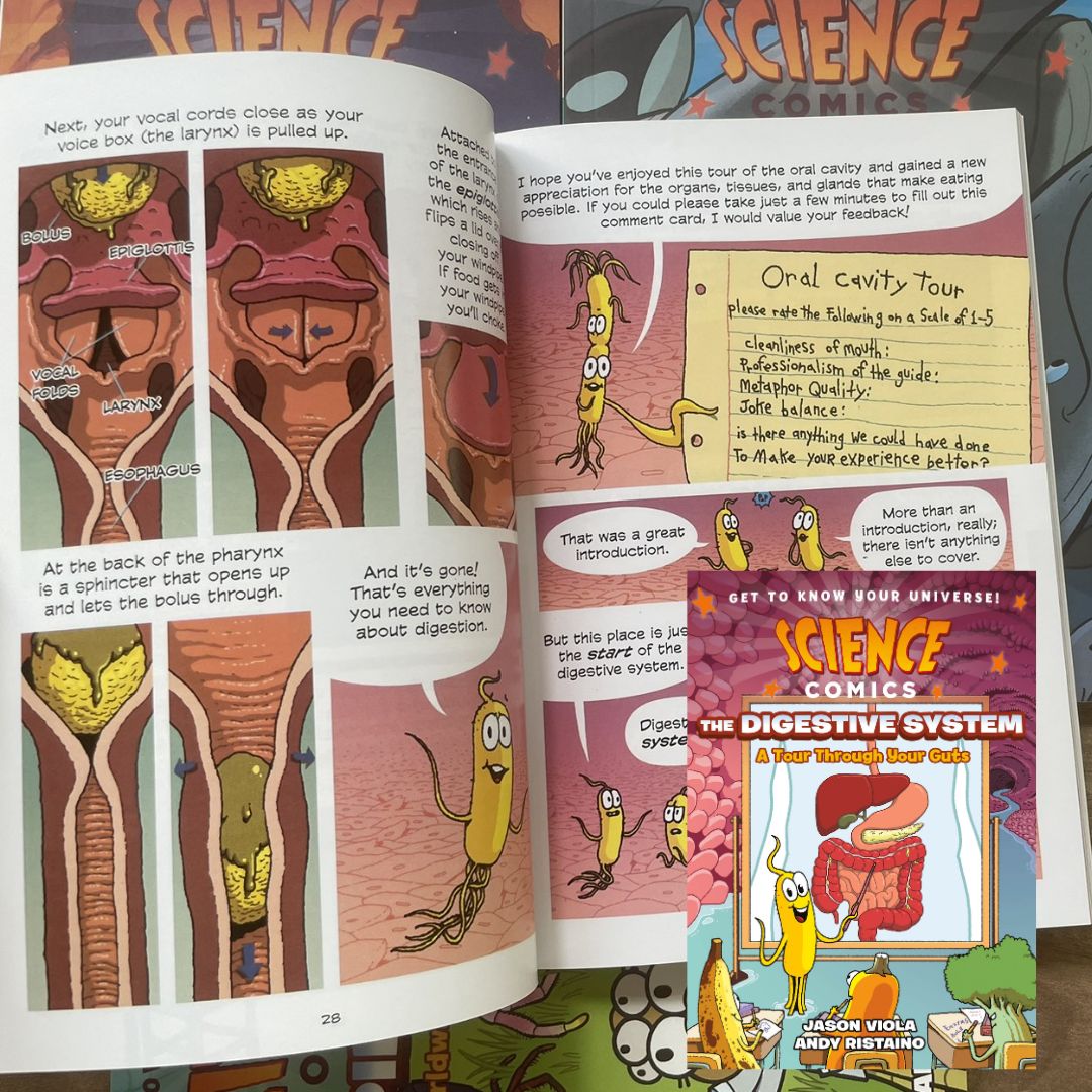 Science Comics (6 books, softcover, no box) (Rocks and Minerals / Spiders / The Digestive System / Whales / Bridges / Birds of Prey)