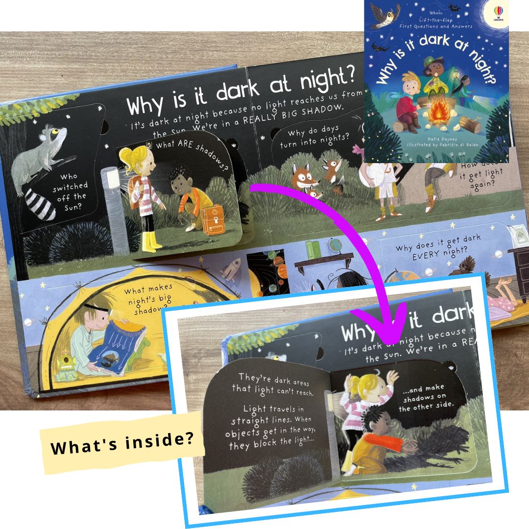 Usborne Lift-the-flap FIRST Questions and Answers (SINGLES, Board Book) How Do Flowers Grow / What is a Virus / What's It Like in Space / Why are there Wars / Why Do We Need Bees / Why Do We Need Trees / Why is it Dark at Night