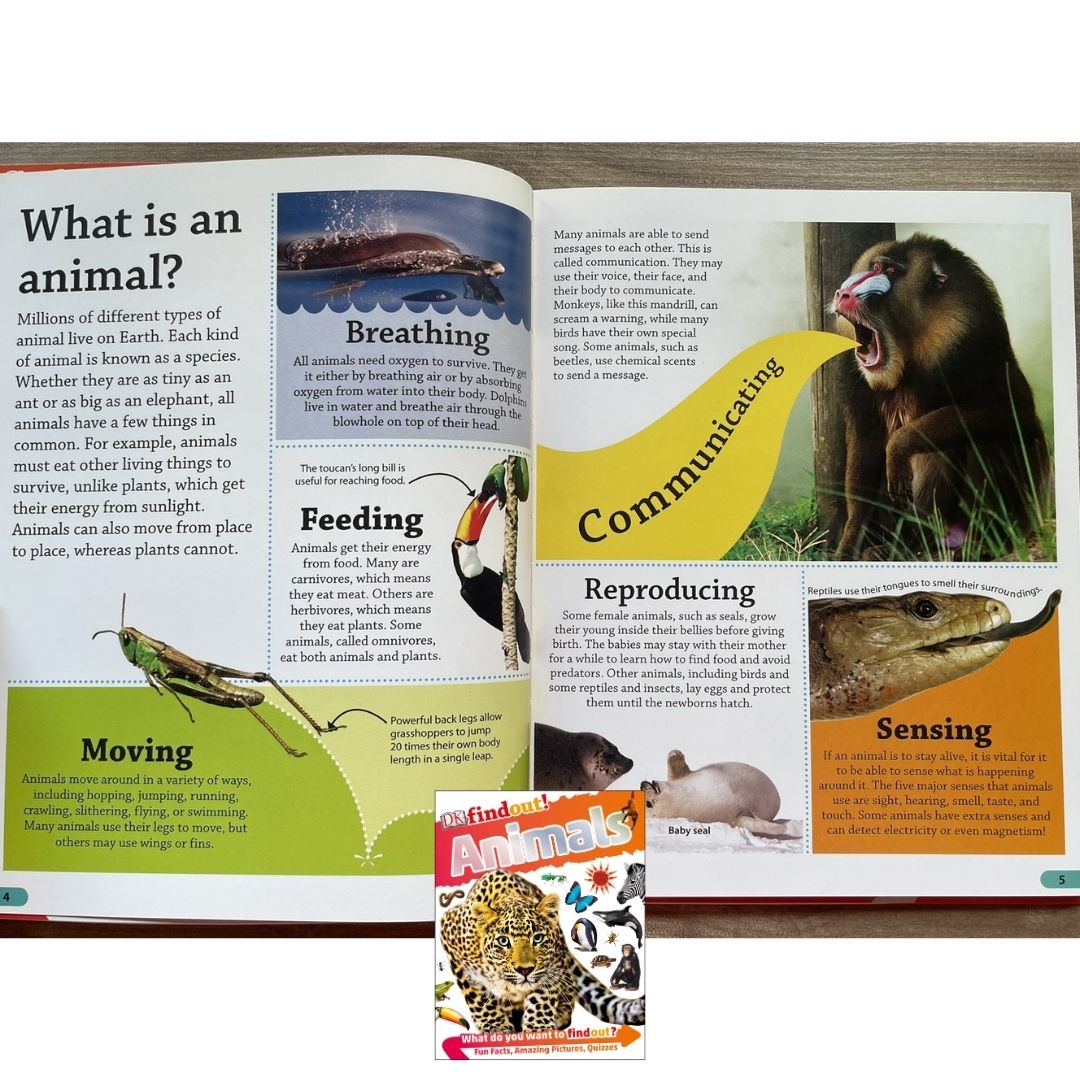 DK Findout! (SINGLES) Ancient Egypt Animals Big Cats Birds Castles Coding Energy Engineering Pirates Science Space Travel Universe Vikings Volcanoes