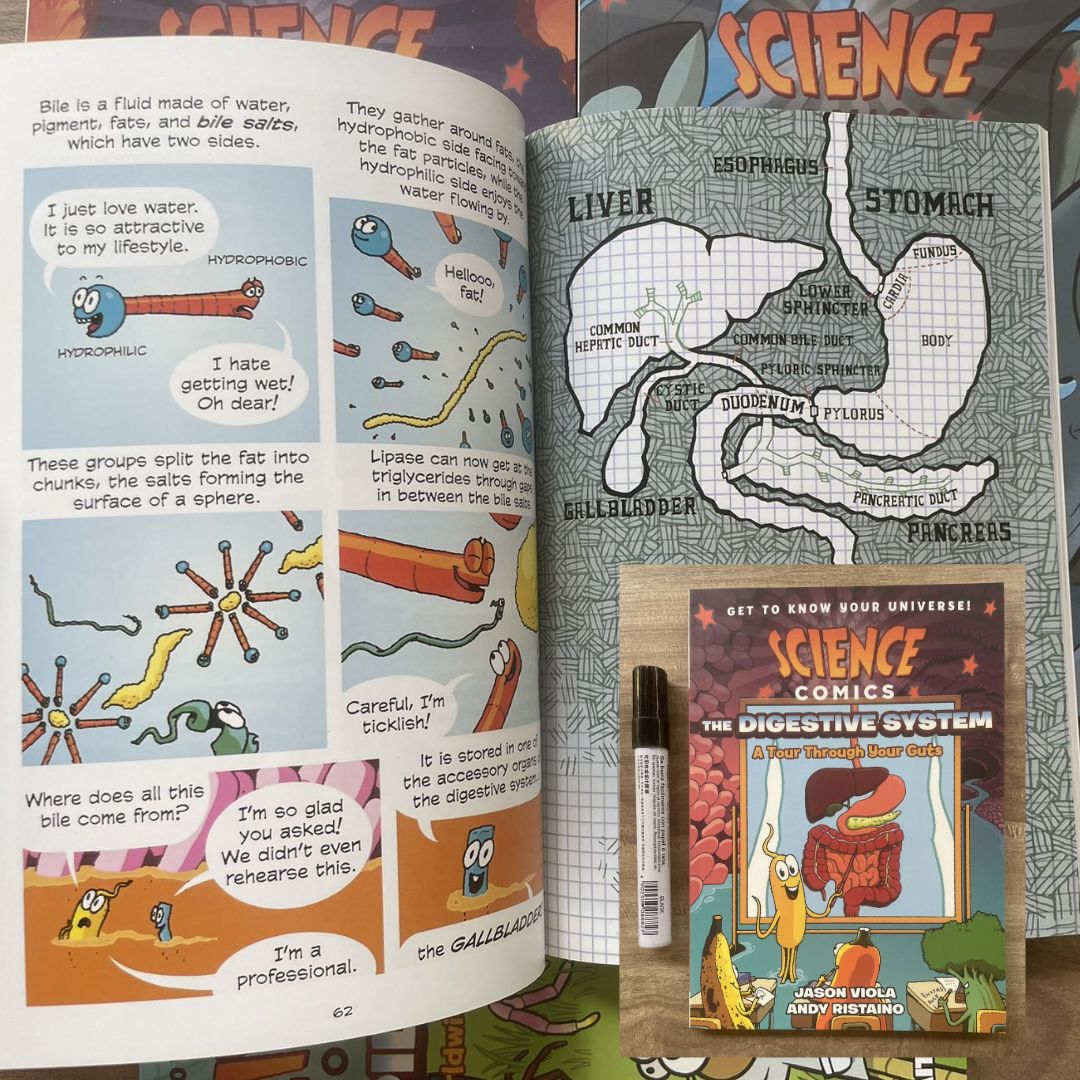 Science Comics (6 books, softcover, no box) (Rocks and Minerals / Spiders / The Digestive System / Whales / Bridges / Birds of Prey)