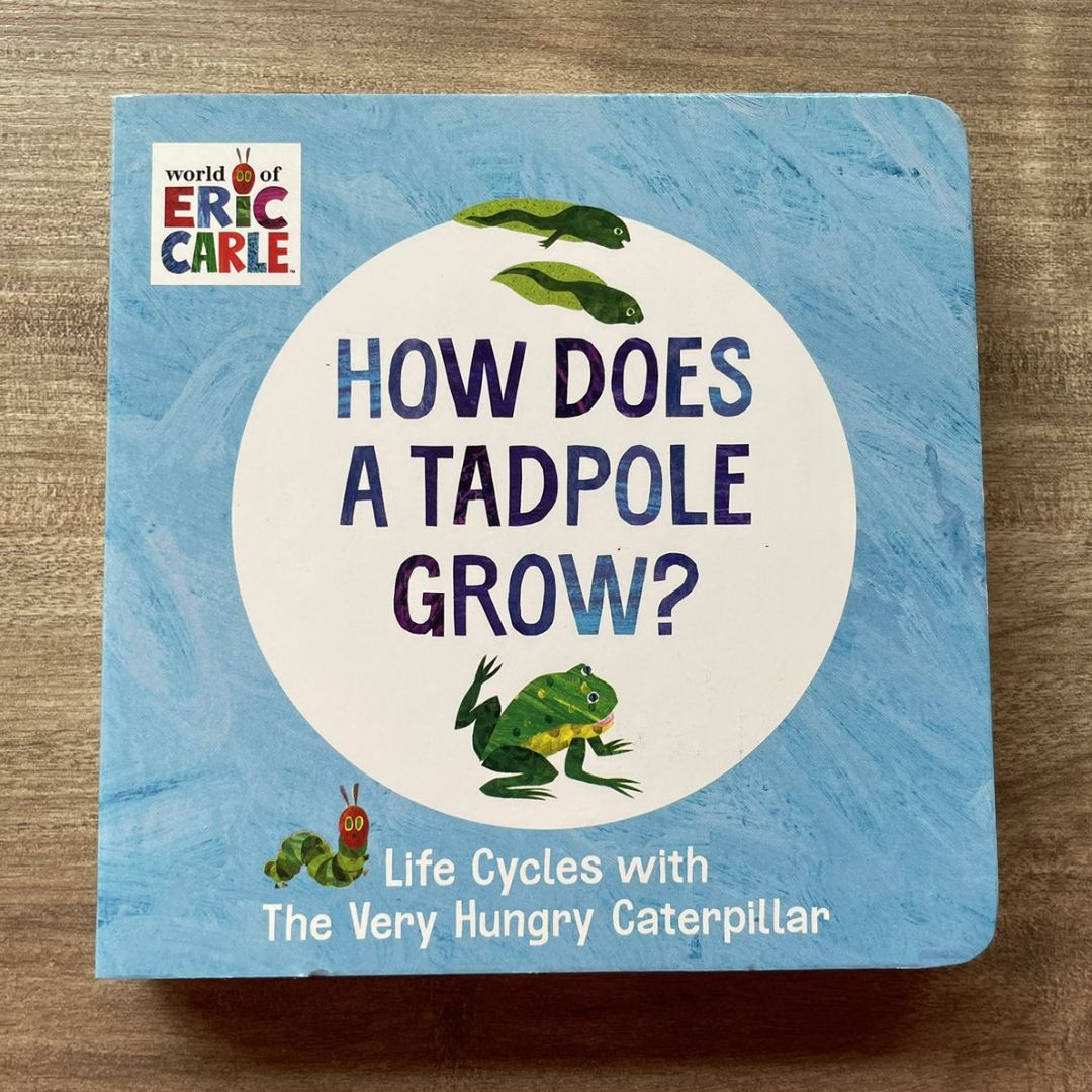 World of Eric Carle: Life Cycles with The Very Hungry Caterpillar (SINGLES, brand new Board Book, with SLIGHT DENTS on book cover) (How Does a Caterpillar Change / How Does an Egg Hatch / How Does a Tadpole Grow / How Does a Seed Sprout)
