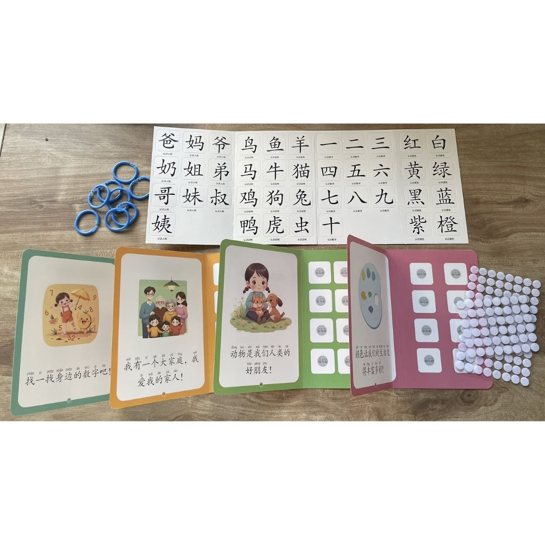 Chinese Quiet / Busy Book (4 pcs. ringbound busy books in 1 set) Numbers, Colors, Family, Animals, Food, Body, Action, Nature