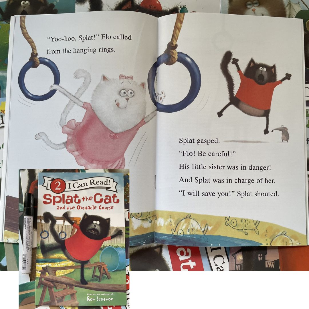 Splat The Cat I CAN READ Collection Box Set (no cd) 20 books, brand new softcover - BOX with DENTS