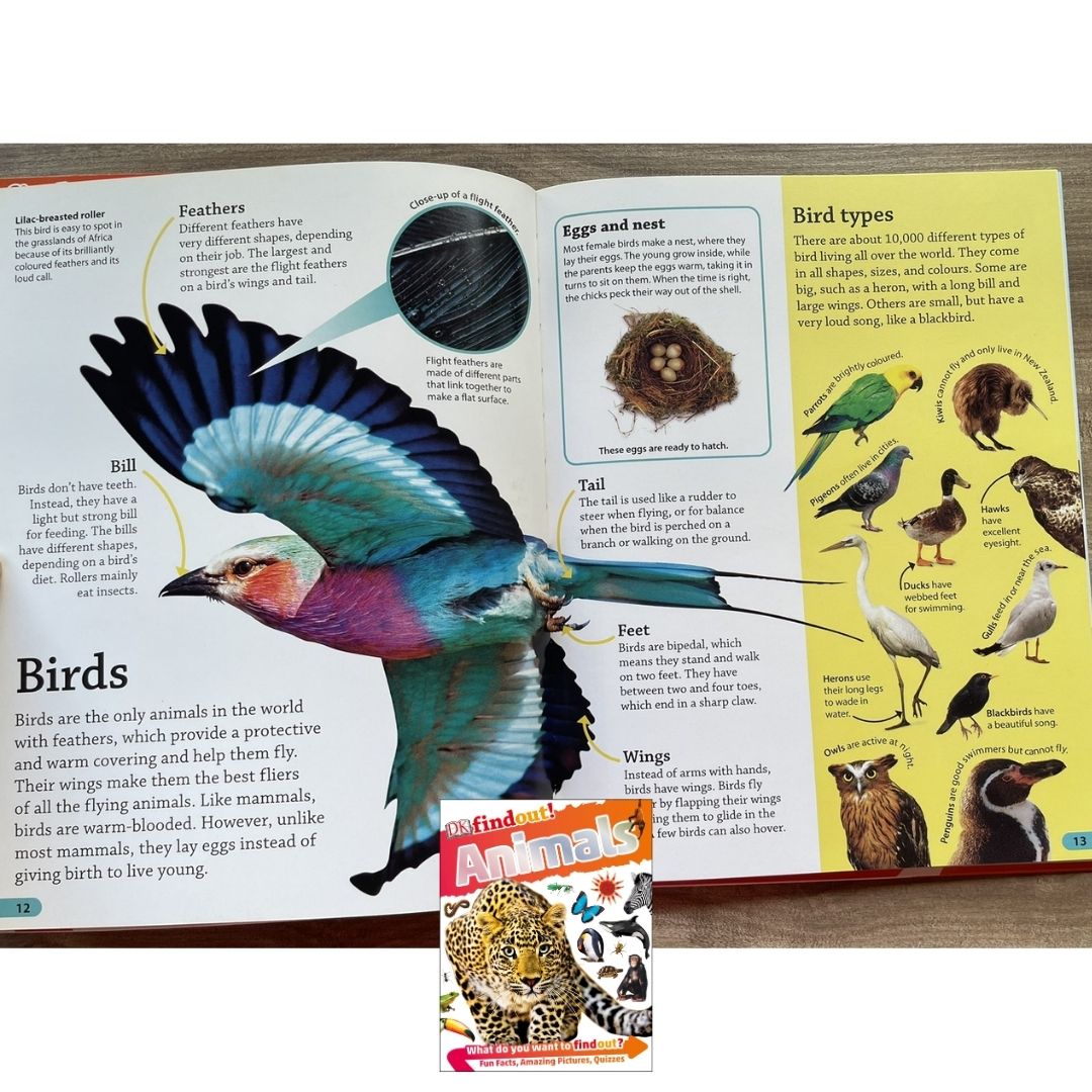 DK Findout! (SINGLES) Ancient Egypt Animals Big Cats Birds Castles Coding Energy Engineering Pirates Science Space Travel Universe Vikings Volcanoes