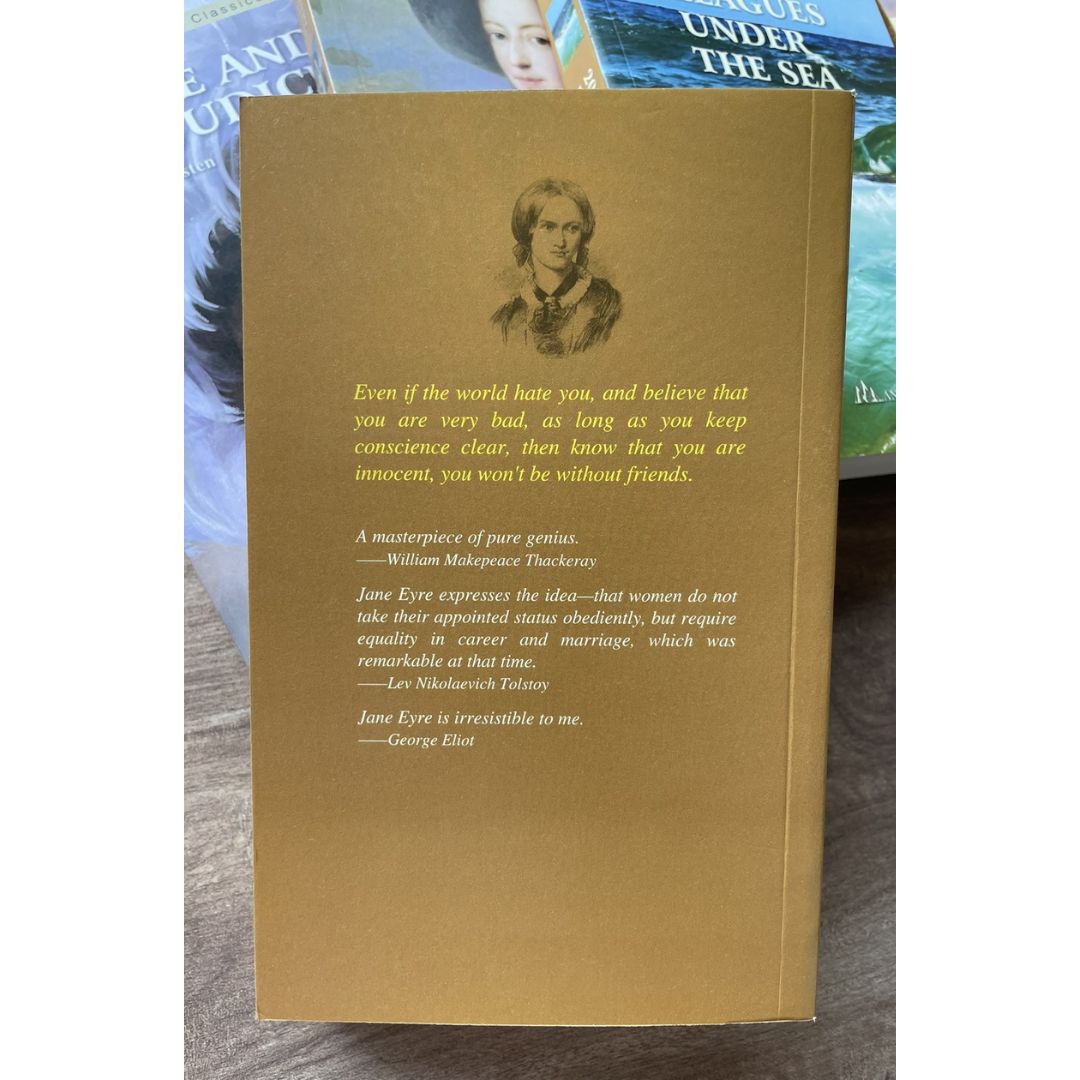 The World's Literary Classic Series (10 books) box with slight dents