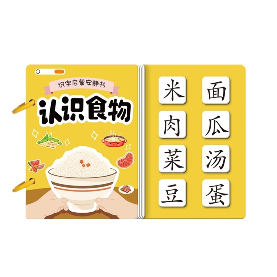Chinese Quiet / Busy Book (4 pcs. ringbound busy books in 1 set) Numbers, Colors, Family, Animals, Food, Body, Action, Nature