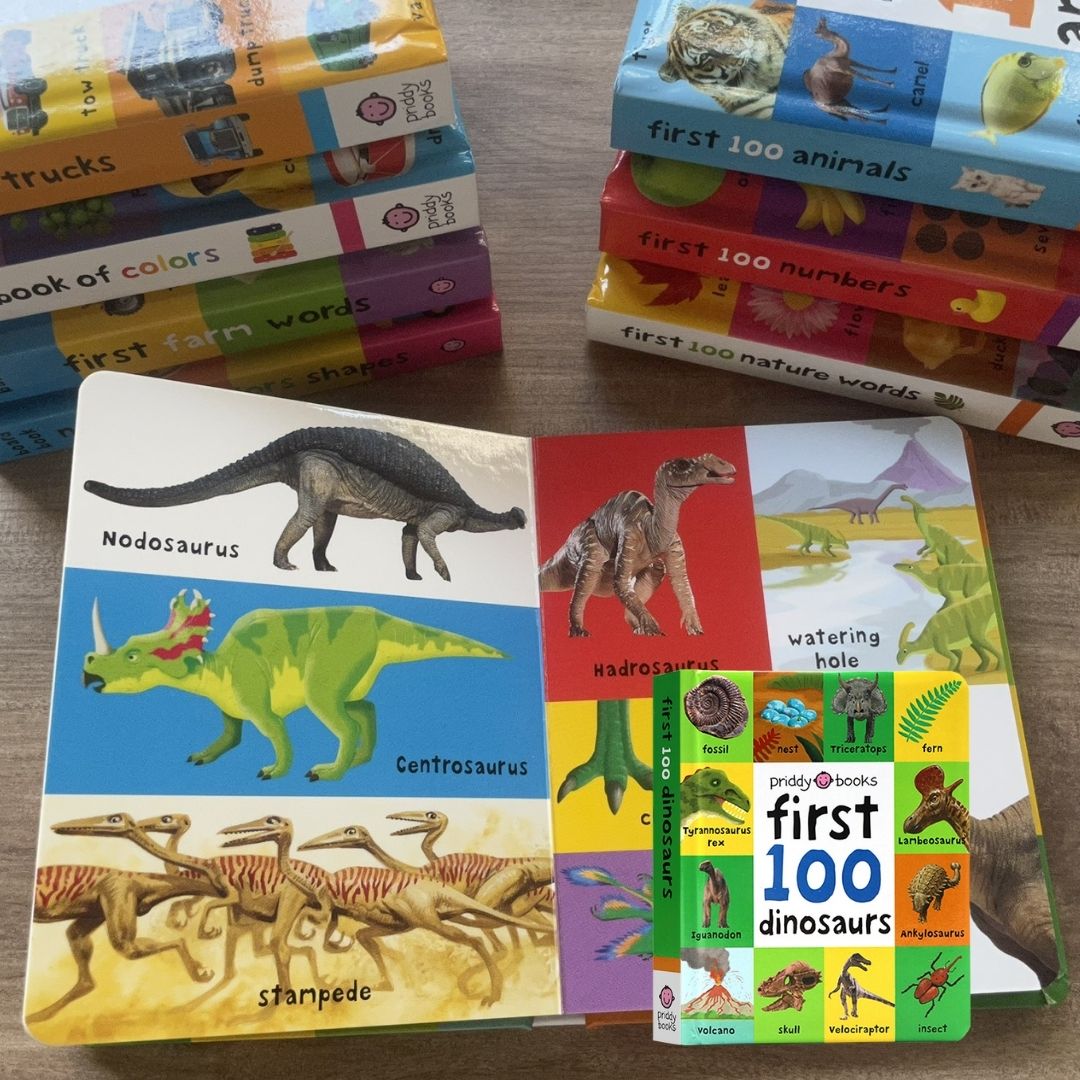 Priddy's First 100 Series (Singles, MINI board book)