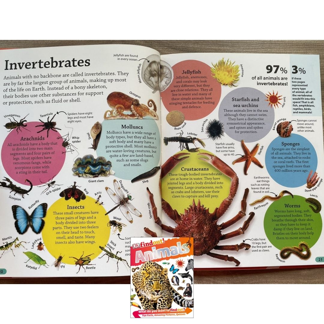 DK Findout! (SINGLES) Ancient Egypt Animals Big Cats Birds Castles Coding Energy Engineering Pirates Science Space Travel Universe Vikings Volcanoes