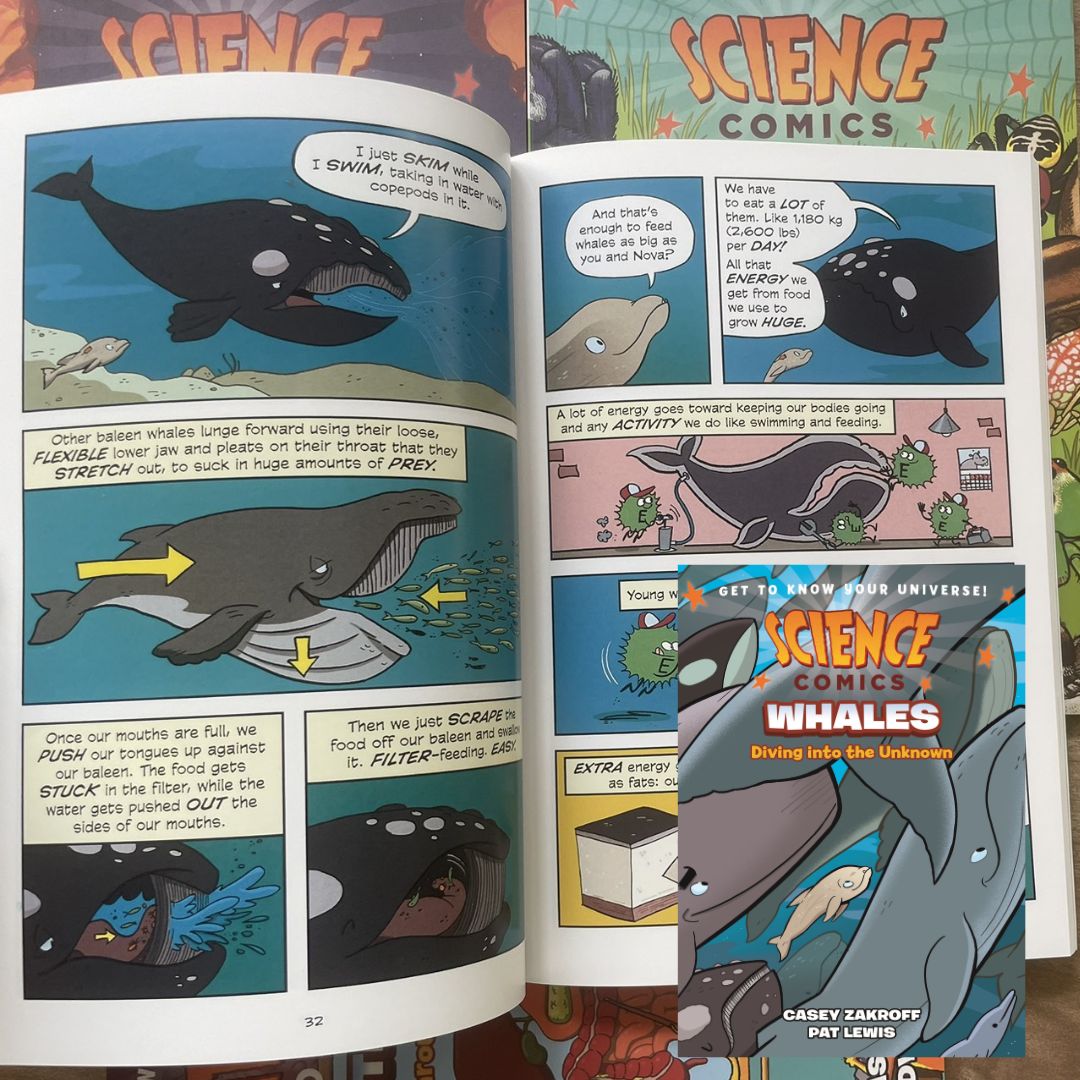 Science Comics (6 books, softcover, no box) (Rocks and Minerals / Spiders / The Digestive System / Whales / Bridges / Birds of Prey)