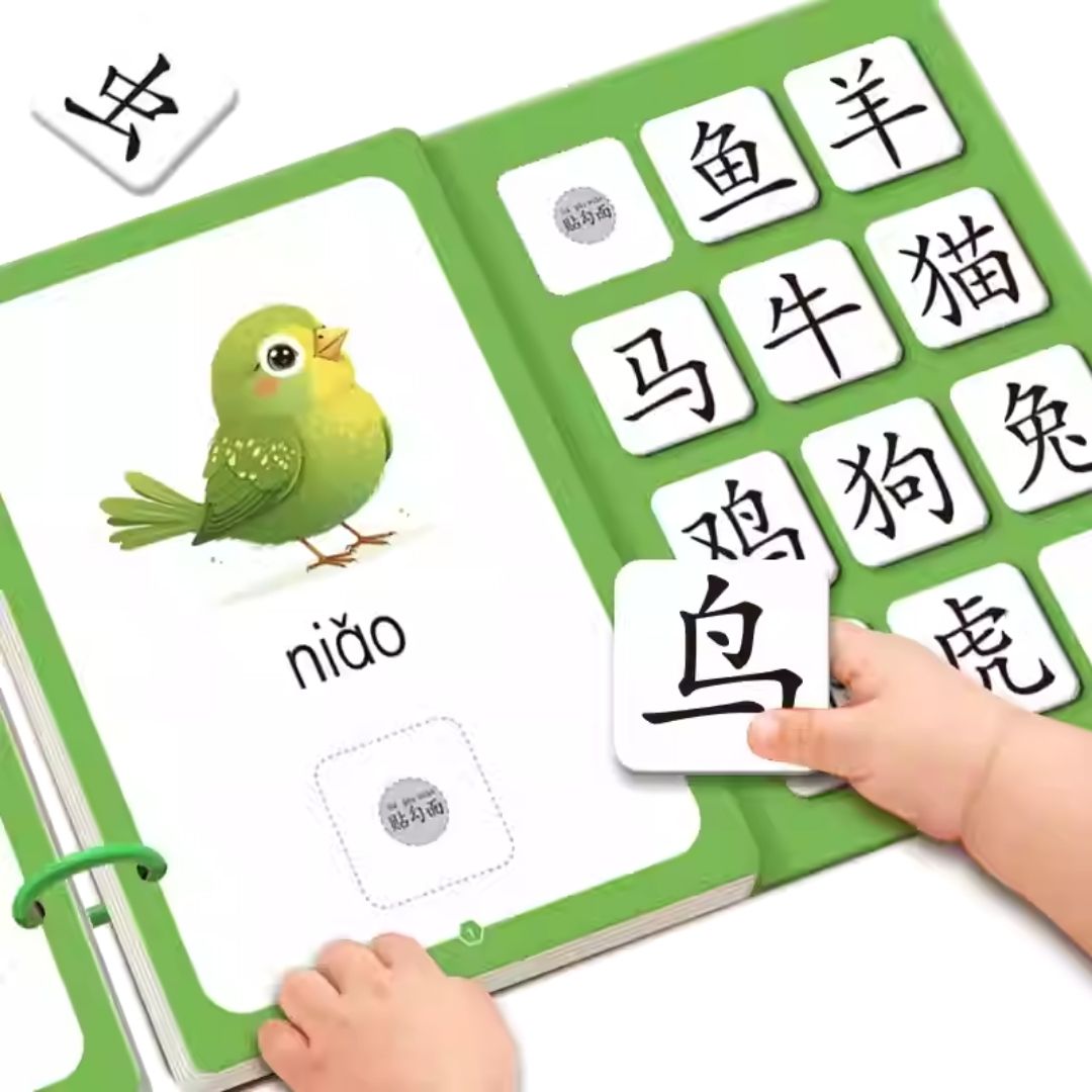 Chinese Quiet / Busy Book (4 pcs. ringbound busy books in 1 set) Numbers, Colors, Family, Animals, Food, Body, Action, Nature