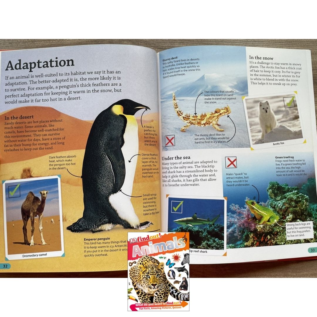 DK Findout! (SINGLES) Ancient Egypt Animals Big Cats Birds Castles Coding Energy Engineering Pirates Science Space Travel Universe Vikings Volcanoes